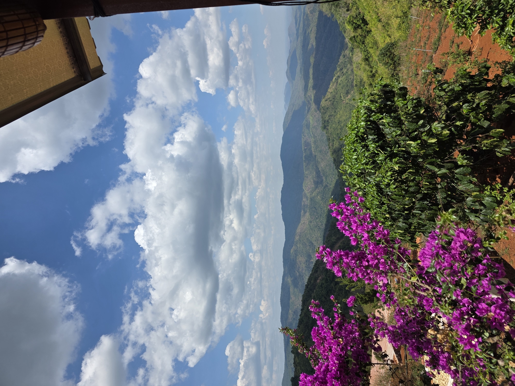 The image shows a view from a high vantage point in what appears to be a mountainous region. The sky is blue with scattered white clouds. A multi-layered mountain range stretches into the distance, with varying shades of green indicating different vegetation. In the foreground, there are vibrant purple bougainvillea flowers. Part of a building or structure is visible in the upper left corner. The scene suggests a location with significant elevation and rich flora, potentially near Nao Sẻ, Vietnam.