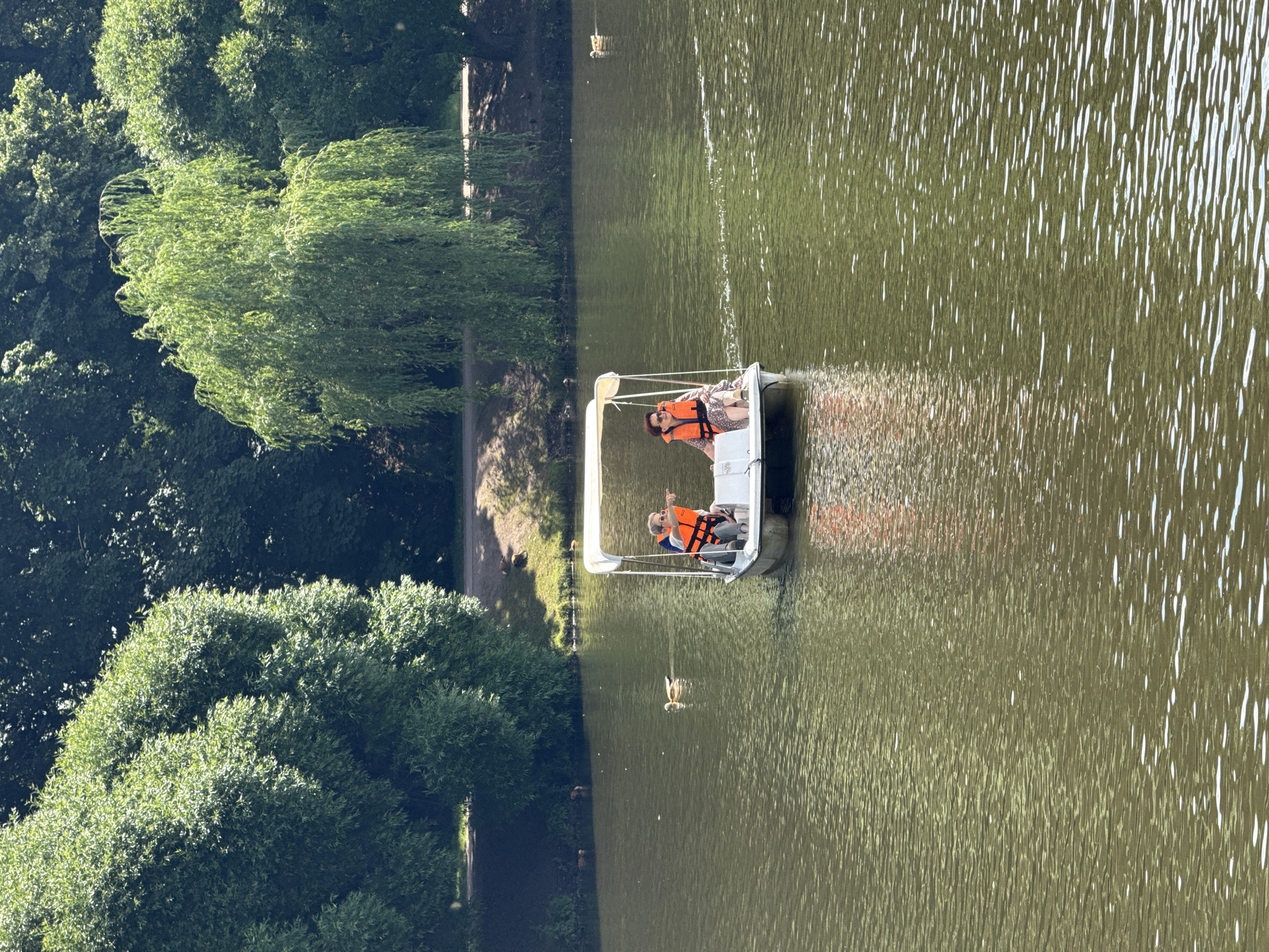 The image depicts a sunny day on a calm body of water, possibly a pond or lake, surrounded by lush green trees. In the foreground, a white pedal boat with a canopy is being navigated by two individuals wearing orange life vests. One individual, appearing to be a person with darker hair, is seated in the front and points towards the right. The other individual, with brown hair and sunglasses, is seated behind and also wears a life vest. The boat is moving away from the viewer, leaving a subtle wake on the water. Several ducks are visible swimming in the water, some closer to the shore and others further away. The background shows a grassy embankment with trees forming a dense canopy, suggesting a park or natural area. The overall scene conveys a sense of leisure and outdoor activity on a pleasant day. It is not possible to determine the specific location in Moscow, Russia, from the image provided.