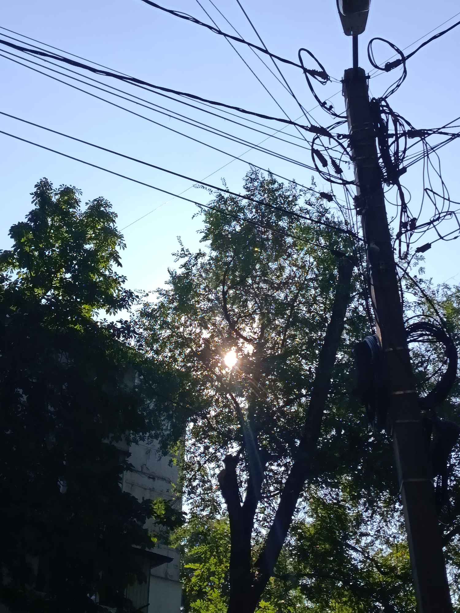 The image shows a utility pole with many tangled wires and a street lamp against a clear blue sky. Trees with lush green foliage are visible on the left and in the background. A portion of a building with light-colored, weathered walls can be seen on the far left. The sun is shining brightly, creating lens flare and dappling light through the leaves of the trees. This scene is typical of urban areas and could be found in Chișinău, Moldova, as many cities in the region have similar infrastructure and vegetation. There are no people or animals visible in the image. The focus is on the electrical infrastructure and the natural elements surrounding it.
