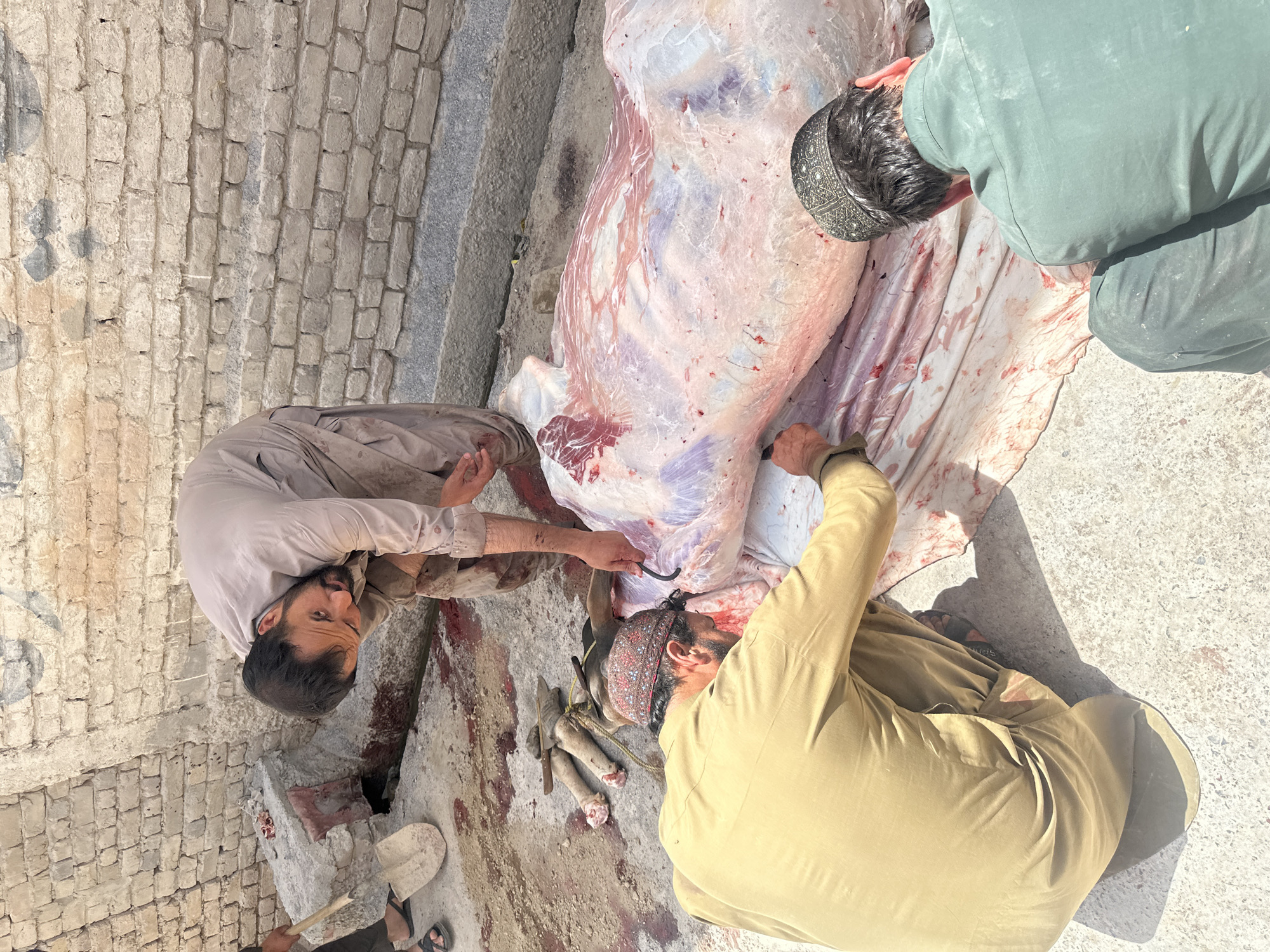 The image depicts three men butchering a large animal carcass in Quetta City Tehsil, Pakistan. The carcass lies on a white sheet, possibly in a courtyard or open area with brick and concrete surfaces. One man in a light brown shalwar kameez is cutting into the carcass with a curved knife, while another man in a green shalwar kameez works near the head. The third man, wearing a tan shalwar kameez, assists. Several knives and butchering tools are scattered on the ground near the carcass. There are also cut-off portions of the animal, possibly legs or hooves, visible. Blood is present on the sheet and surrounding surfaces.