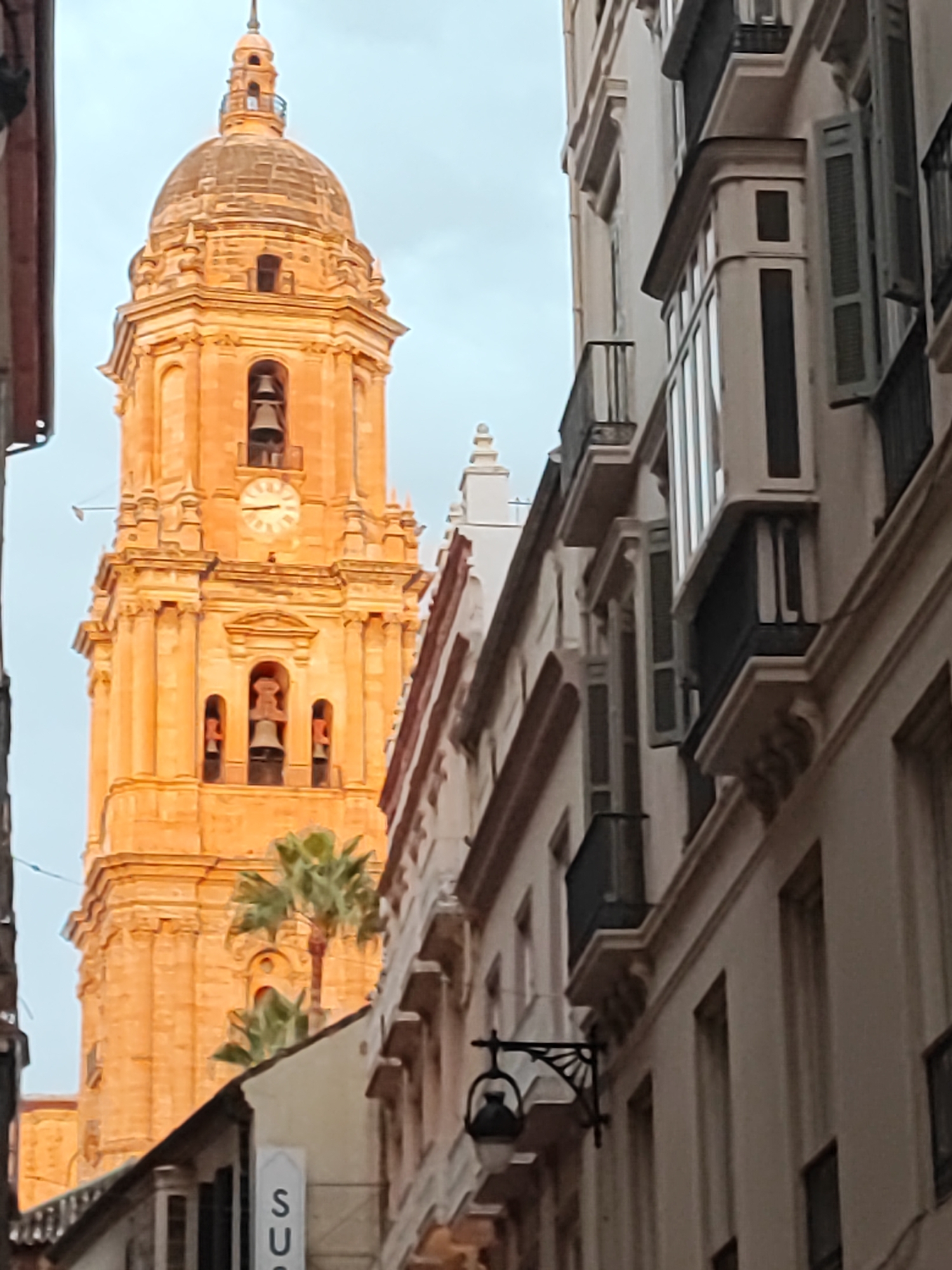 The image captures a view of the Málaga Cathedral's tower and adjacent buildings in Málaga, Spain. The cathedral tower, bathed in warm, golden light, dominates the left side of the frame. It features architectural details such as arches housing bells, a clock face, and a domed roof. Palm trees are visible in front of the lower part of the tower. To the right of the tower are several multi-story buildings with balconies, windows, and shutters. The buildings are constructed with a light-colored facade, and some have dark railings on their balconies. The street appears narrow, with buildings on either side creating a sense of enclosure. The sky is overcast and a pale grey. A street lamp is visible on the side of one of the buildings. The overall scene suggests an urban environment with historical architecture.