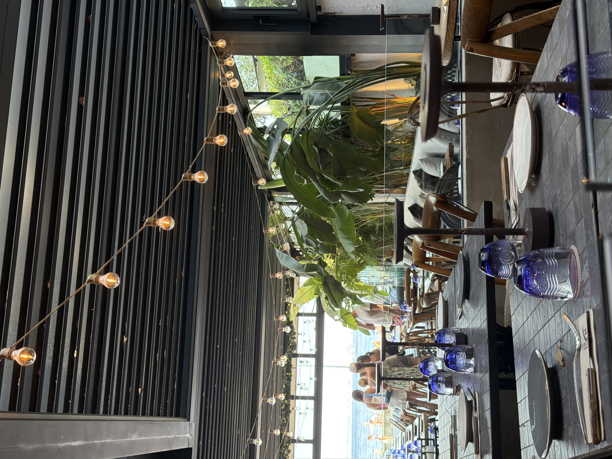 The image shows the outdoor seating area of a restaurant in Palmanova, Spain, overlooking the Mediterranean Sea. String lights with exposed bulbs hang from the ceiling, illuminating the space. Tables are set with dark plates, silverware, and blue-tinted glasses. Large tropical plants, including a Bird of Paradise, add greenery to the scene. In the background, people are visible on a beach and in the water. The overall ambiance is casual and relaxed, suggesting a dining experience with a view.