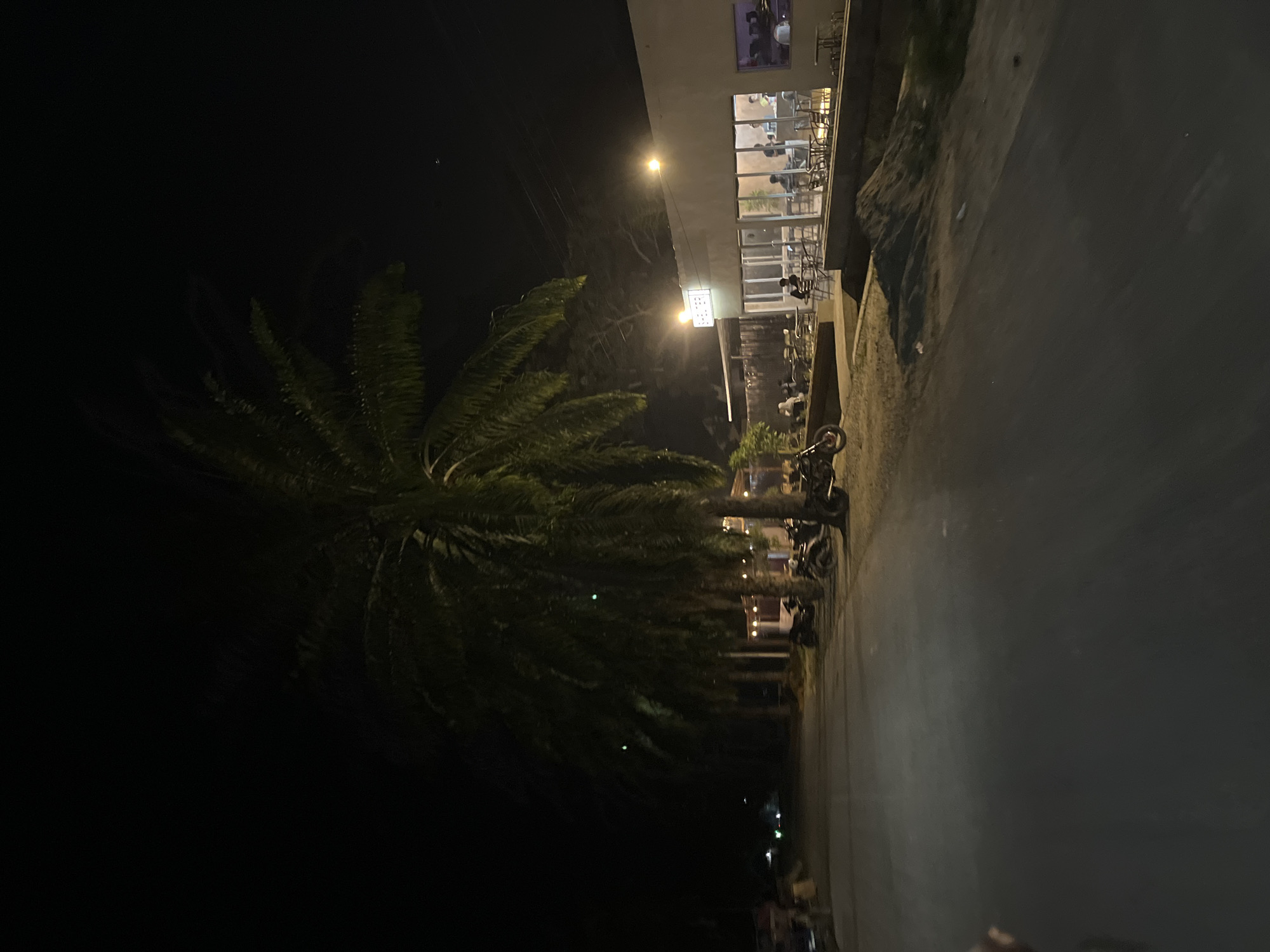 The image depicts a nighttime scene on a paved road in Bundar, Indonesia, likely in front of a small establishment. A large palm tree dominates the left side of the frame, its fronds reaching towards the dark sky. To the right, a building with a sign reading "SHELTER" is illuminated by warm light. Through the large windows of the building, several people can be seen sitting at tables, some appearing to be patrons and others possibly staff. Outside the building, a row of motorcycles is parked along the roadside. The area appears to be a public space, possibly a cafe or a recreational area, with outdoor seating visible. The road is mostly empty, with only a hint of distant lights suggesting further urban development.