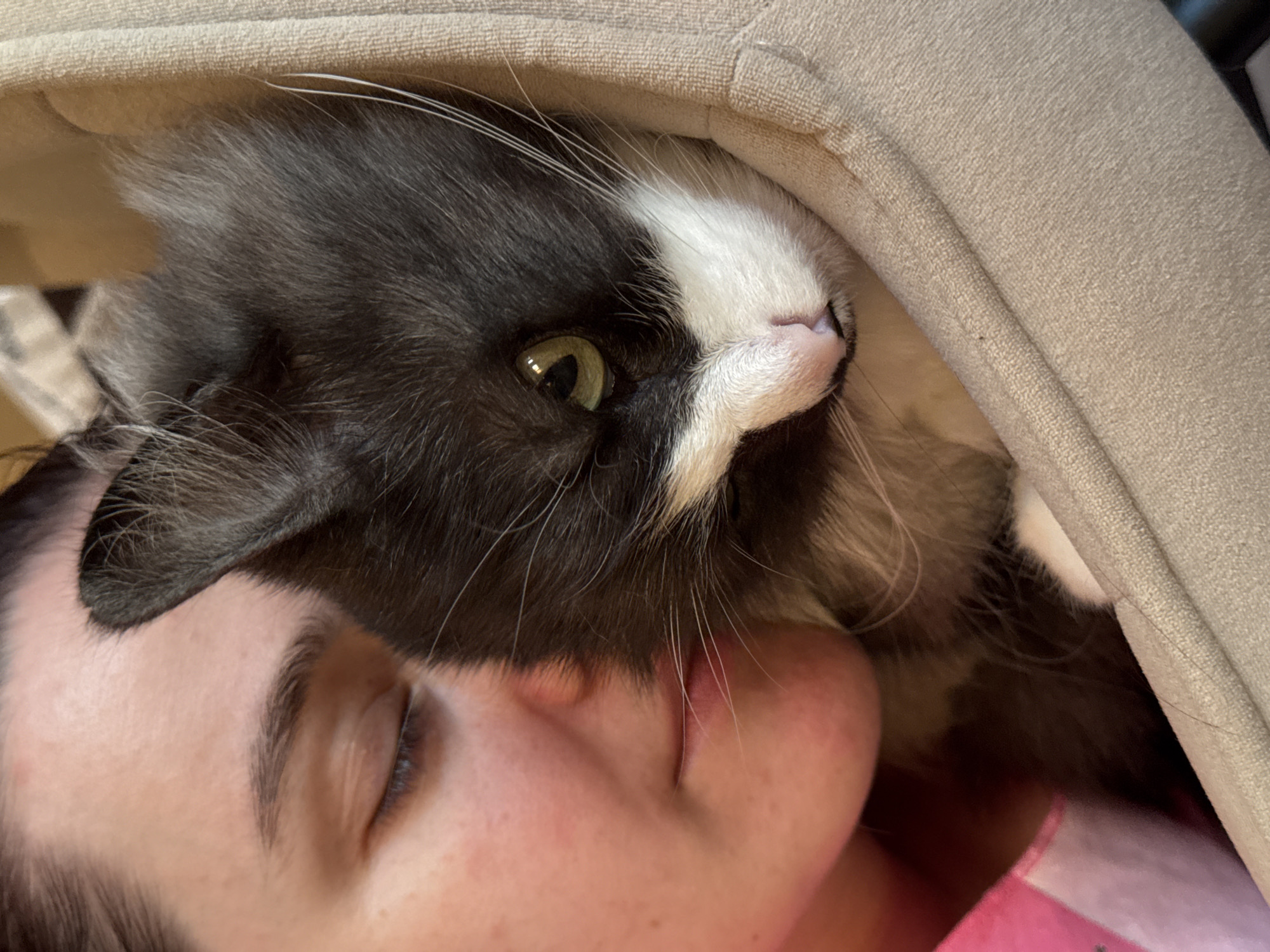 A close-up shot shows a woman lying down with a gray and white cat nestled against her face. The woman has her eyes closed, and the cat is peering upward with its right eye visible. They are both positioned partially inside the hood of a light-colored hooded garment. The woman is wearing a pink shirt with a pattern. The setting is indoors. There is no evidence to suggest the location is Izhevsk, Russia.