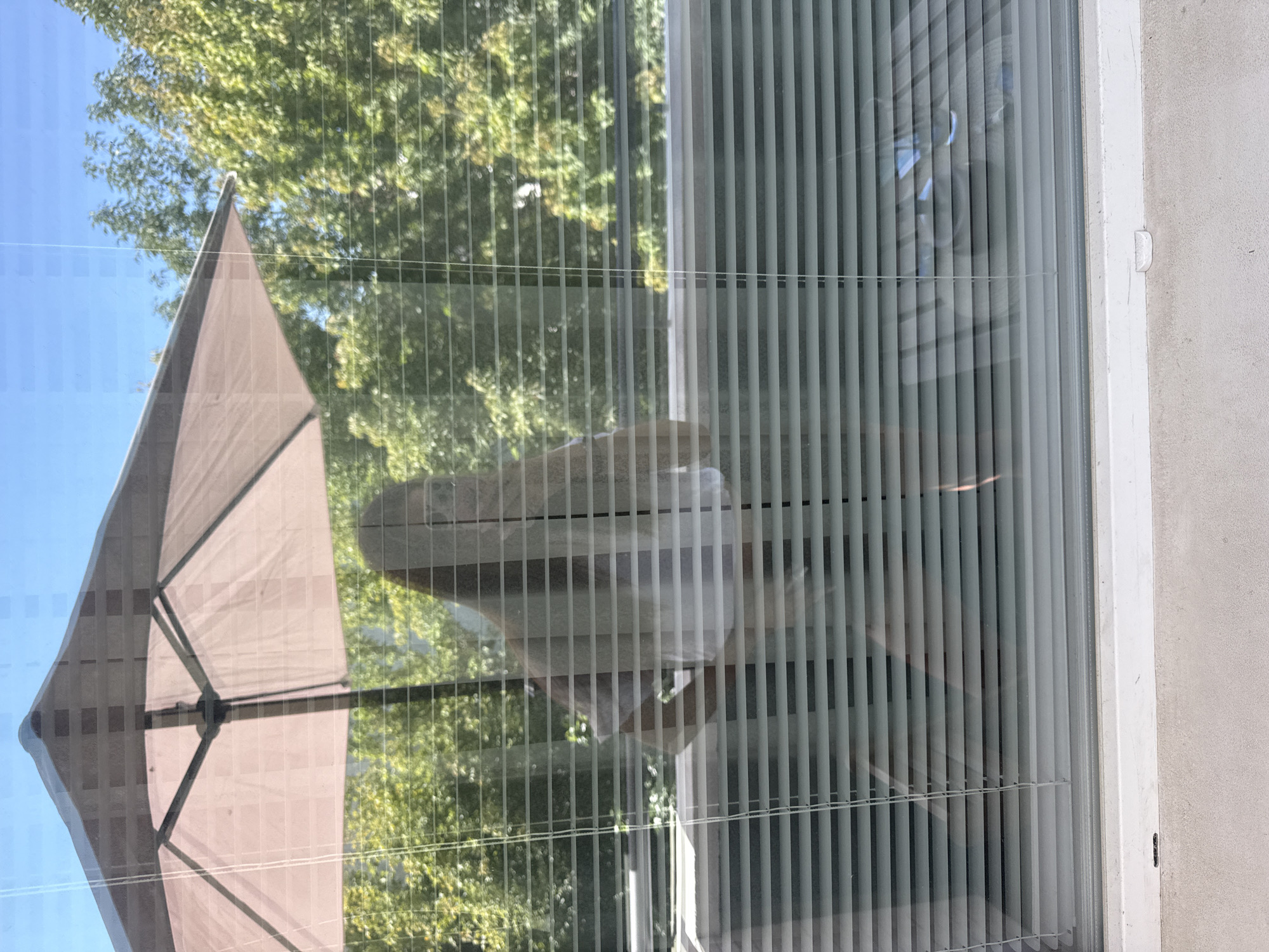 The image, taken from a window with horizontal blinds, shows a reflection of a person standing on a balcony. The person appears to be a woman with long, light-colored hair, wearing a white top. Behind her, an outdoor umbrella is visible. Lush green trees and a bright blue sky form the background, suggesting an outdoor setting. The reflection is captured through the blinds, creating a striped effect across the scene. The vantage point suggests the photo was taken from inside a building, looking out at a balcony and the surrounding environment. The precise location in Plovdiv, Bulgaria, cannot be determined from the visual information provided.
