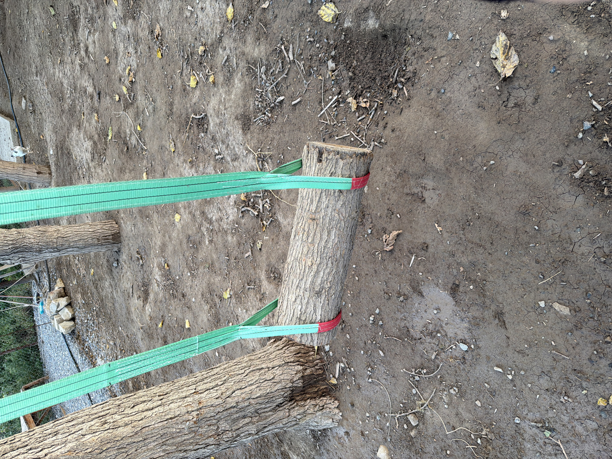 The image depicts a homemade swing crafted from a log and green straps, suspended between two trees. The ground is dirt and littered with dry leaves and small branches, suggesting an outdoor setting. In the background, a white and black chicken is visible near a fence. The scene appears to be in a rural or semi-rural area, possibly a backyard or a less-maintained outdoor space. The mention of Sabirabad, Azerbaijan, provides a geographical context for this rural landscape.