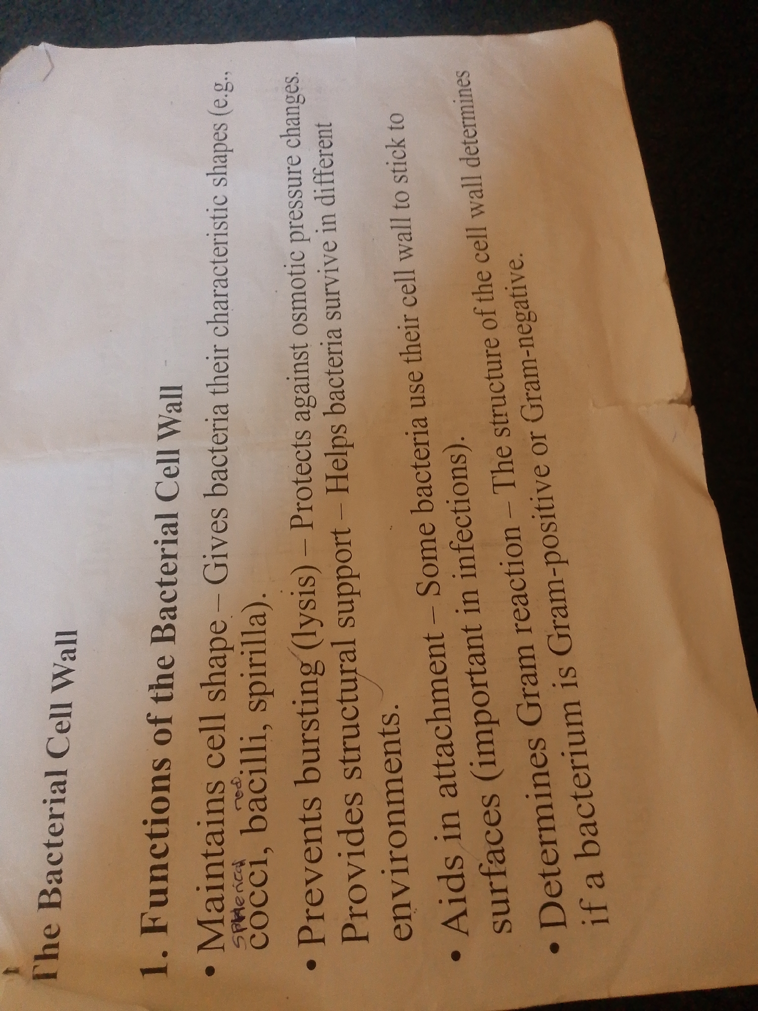 The image is a close-up, angled shot of a printed document with text. The document is likely a handout or page from a textbook discussing the functions of the bacterial cell wall. The text is oriented diagonally and appears to be black ink on a light-colored paper. There are some handwritten annotations in red and blue ink. The lighting suggests an indoor environment, possibly a desk or table.
The specific location in Jalingo, Nigeria, cannot be determined from the image alone.