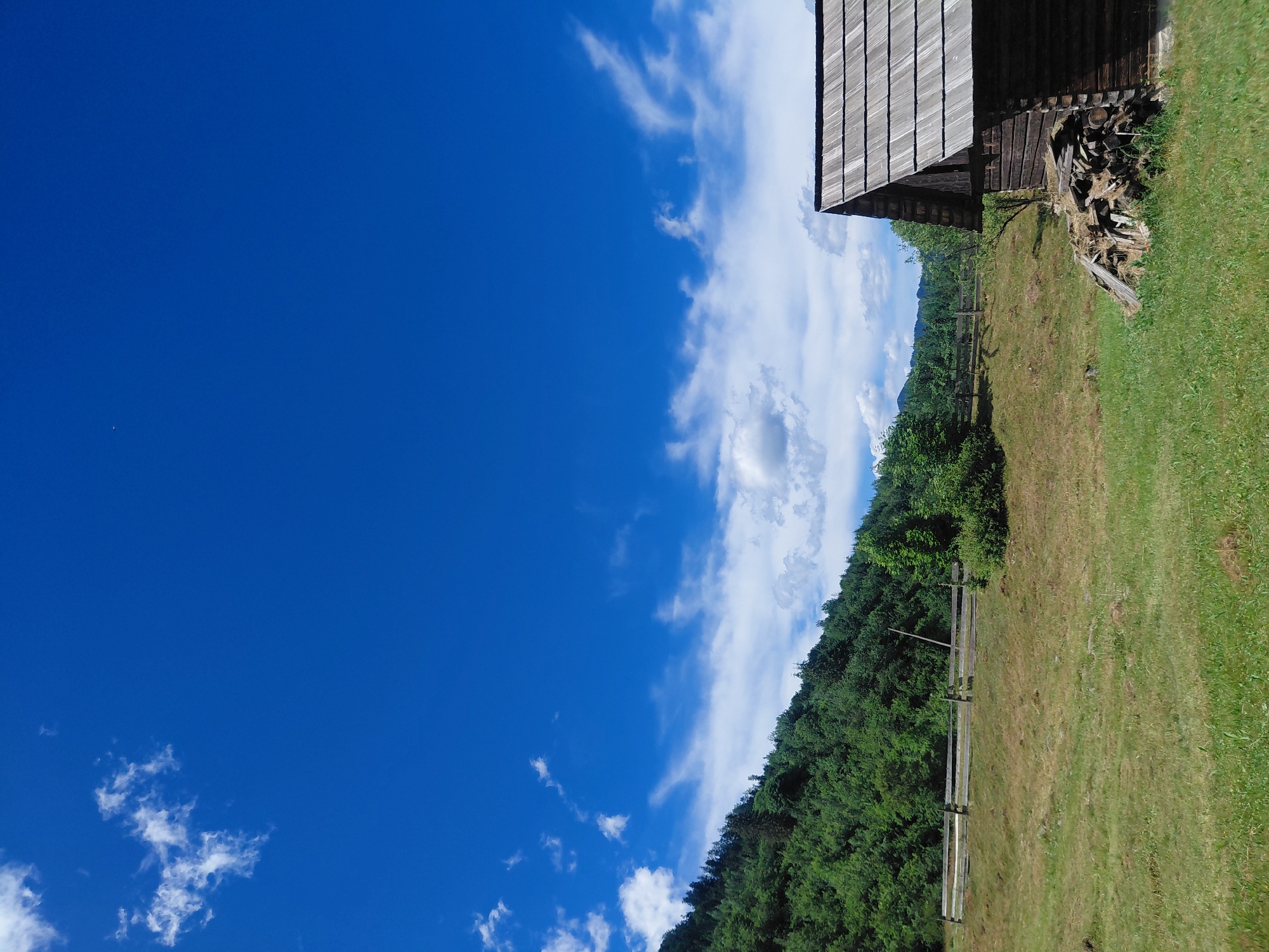 A vast, bright blue sky dominates the upper portion of the image, with scattered white cumulus clouds. Below the sky, a densely forested mountainside with lush green trees forms the backdrop. A rustic wooden fence runs horizontally across the midground, separating the grassy field from the forested area. In the foreground, a weathered wooden cabin with a shingled roof is partially visible on the right side of the image. A pile of chopped firewood is stacked next to the cabin. The scene appears to be a rural landscape, likely in the city of Chernyk, Ukraine, characterized by natural beauty and traditional architecture. There are no people or animals visible in the image.