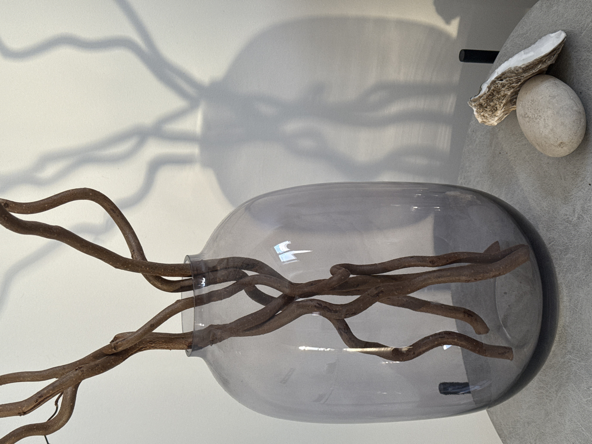 A glass vase filled with brown branches sits on a gray surface next to a rock and shell. The background is a white wall with shadows of the branches and vase.