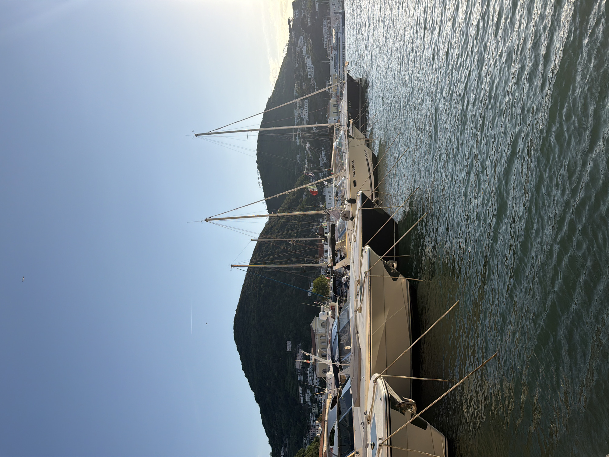 The image shows a view of the Ischia harbor in Ischia, Italy. Several yachts are docked side-by-side in the foreground of the image with their masts reaching toward a bright blue sky. A densely vegetated hill covered with buildings rises behind the yachts. The water in the harbor is dark and choppy. A few birds are visible in the sky, and the sun is shining.