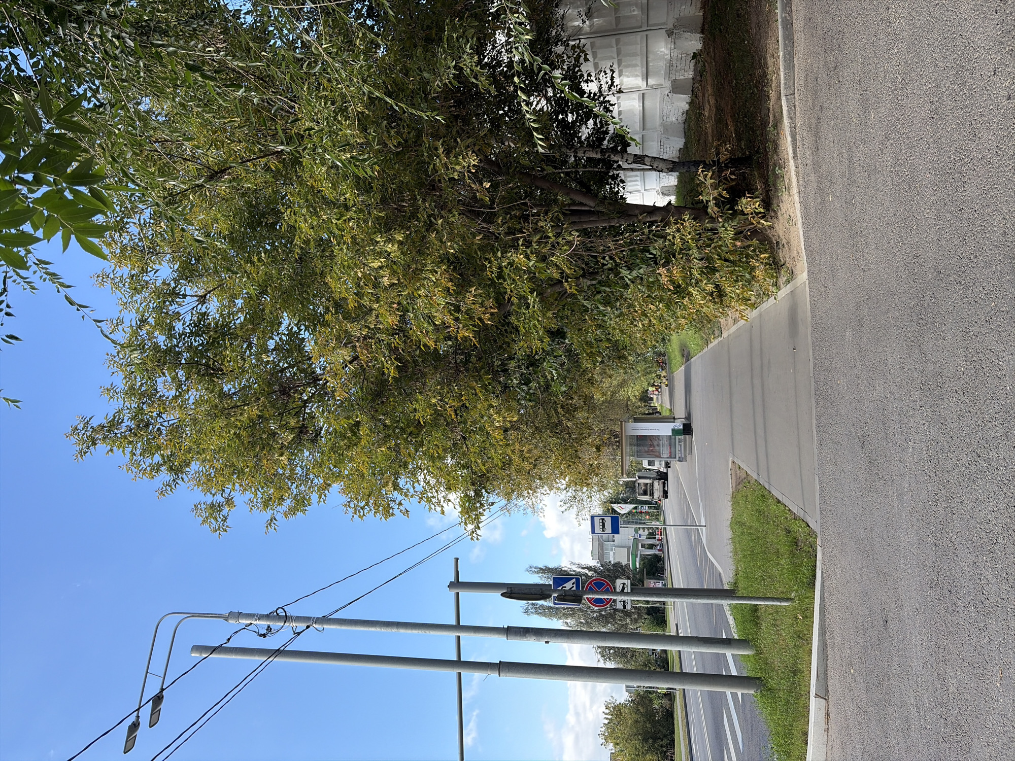 The image shows a street scene in Moscow, Russia, on a bright, sunny day with a clear blue sky and scattered clouds. In the foreground, there is an asphalt road and sidewalk. The sidewalk runs alongside a street lined with trees and a white brick wall. A bus stop with a glass shelter is visible on the right side of the sidewalk.
Several streetlights and utility poles stand on the left side of the image, along with traffic signs. One sign shows a blue circle with a white arrow pointing upwards and to the right, indicating a lane direction. Another sign is a red circle with a diagonal red bar, commonly used for prohibition. Further down the street, a gas station with a canopy and pumps is visible, along with a few vehicles including a bus and trucks. There are no people clearly visible in the scene, though the presence of a bus stop suggests it is a public area. The trees are leafy and appear to be in late summer or early autumn, with some leaves showing signs of yellowing. The overall impression is of an urban environment with elements of nature integrated into the cityscape.
