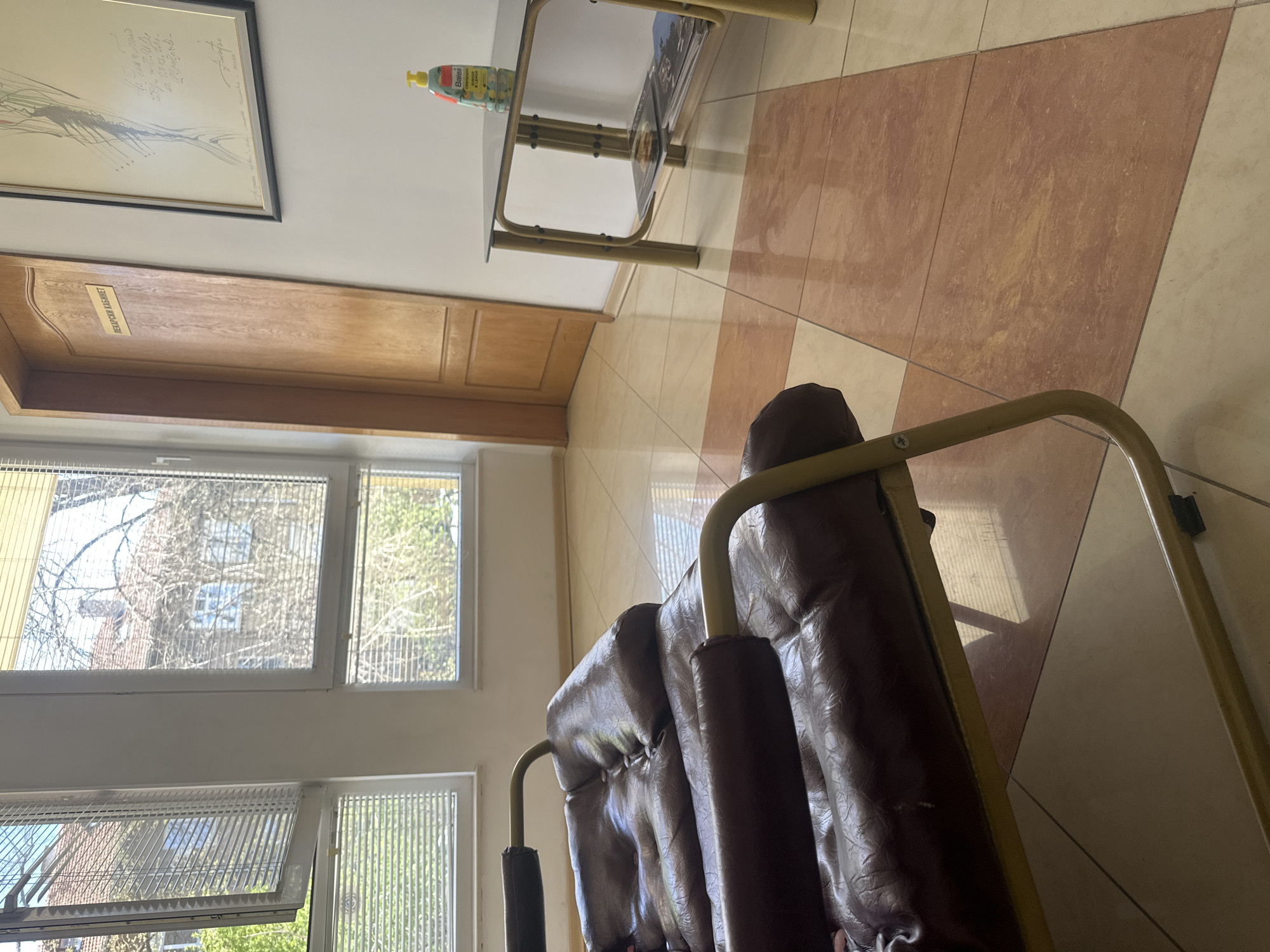 The image depicts an interior scene in a room in Plovdiv, Bulgaria. Light filters through a set of windows with partially open blinds, revealing glimpses of the outside – trees and buildings are visible. A painting hangs on the wall above a closed wooden door with a sign. A glass-topped table, holding cleaning supplies and publications, stands against the wall. A brown leather chair with a yellow metal frame is in the foreground. The floor is covered in tile.