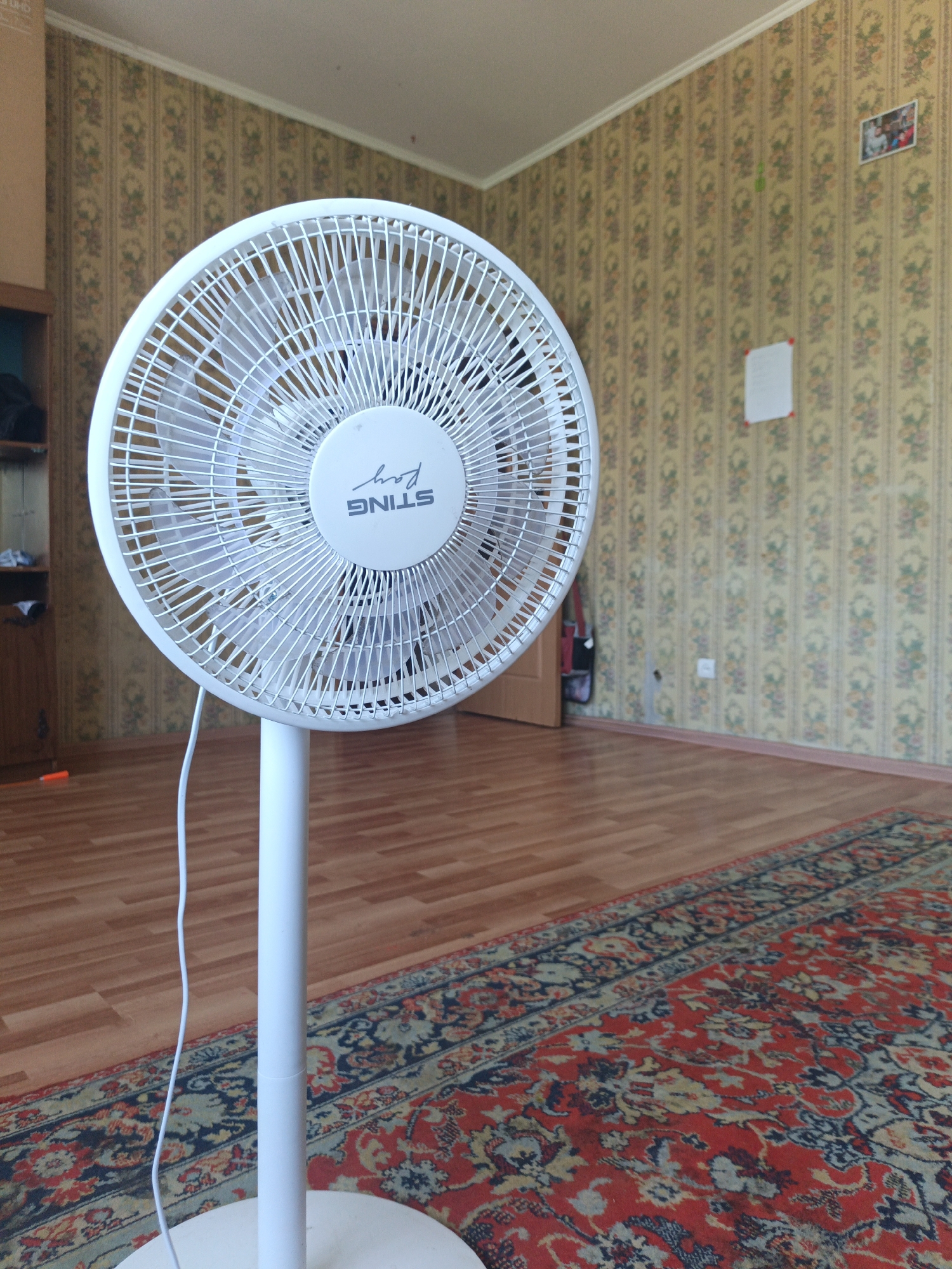 The image depicts an indoor scene, likely a room in a residential dwelling in Podvyaz’ye, Russia. The primary subject is a white oscillating fan positioned in the foreground, occupying a significant portion of the frame. The fan is standing on a circular white base, supported by a vertical pole. Its grille is white with thin, closely spaced bars, and the central hub displays the branding "STING Ray" in dark lettering. The fan's blades are visible through the grille.
The background consists of a wall covered in floral wallpaper featuring a repeating vertical pattern of light yellow with interspersed darker motifs of flowers and leaves in shades of green and pink. A thin white crown molding runs along the top of the wall. Several items are affixed to the wall: a framed picture on the upper right, a small green object below it, and a white square document or note below that. To the left, a wooden closet or cabinet is partially visible, with shelves containing some items.
The floor is covered with polished wooden planks in a light brown hue. In the lower right and extending into the foreground, a large rug with a traditional Persian design is laid out. The rug features a predominantly red background with intricate patterns in blue, black, and cream. The overall lighting suggests a bright, possibly natural light source from the right. The scene is static, with no people or active interactions evident. The environment appears to be a living space, characterized by its domestic furnishings and decor.
