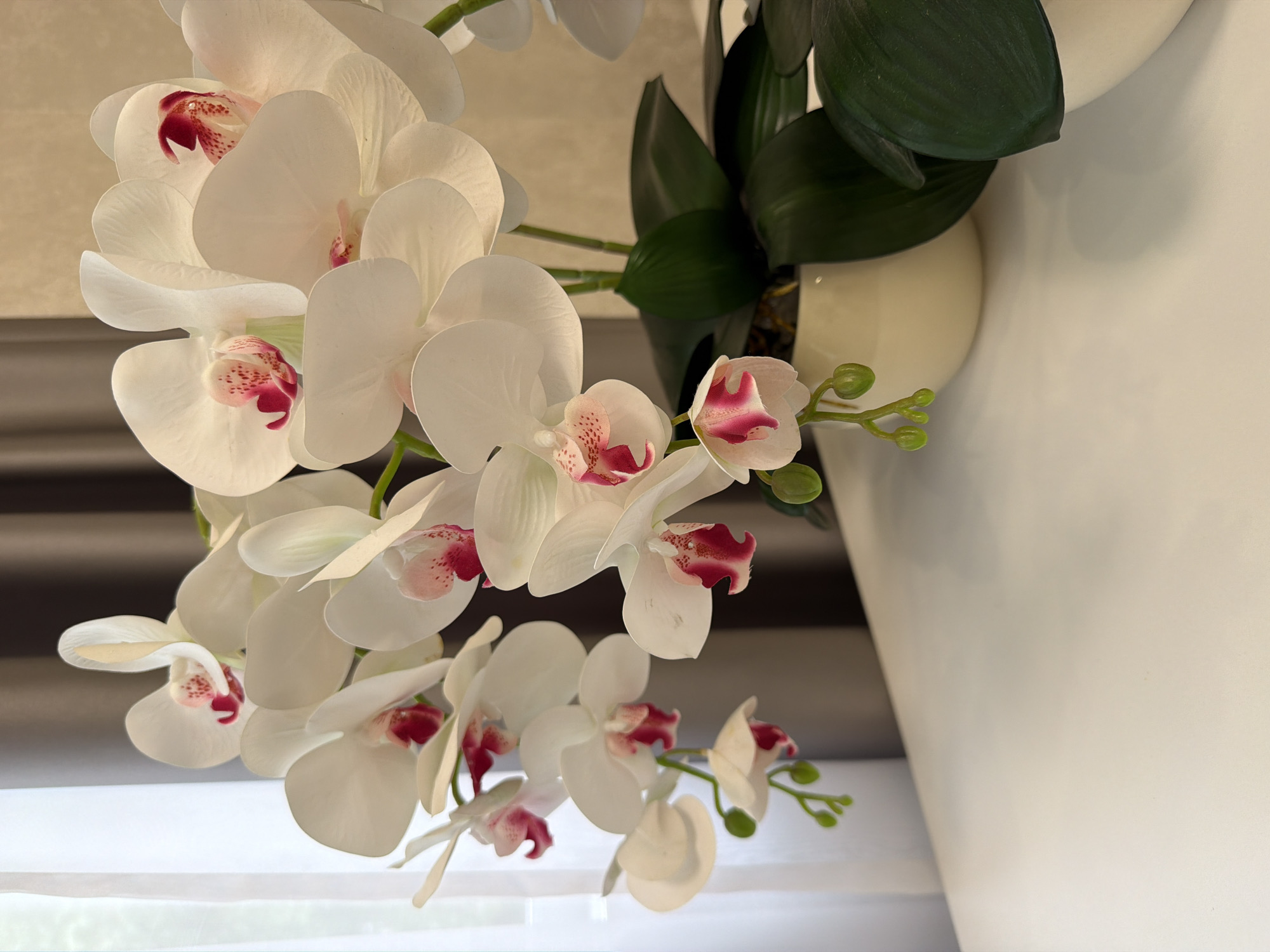 A close-up, eye-level shot captures a cluster of artificial white orchids with pink and red centers, arranged in a cream-colored planter. The orchids are a focal point, with delicate petals and green stems. Large, dark green leaves surround the base of the planter, which sits on a smooth, white surface that extends towards the viewer. In the background, sheer white curtains are visible on the left, framing a blurred, textured wall on the right. The overall impression is of a well-lit, indoor setting, possibly a home or office environment, creating a sense of tranquility and elegance.