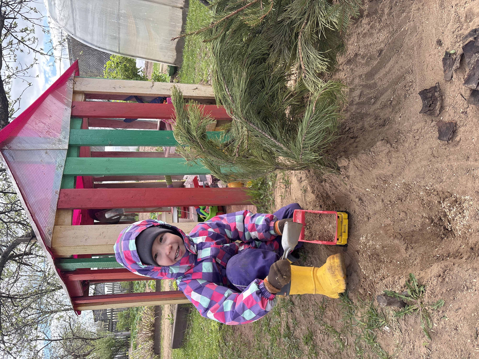 A child wearing a purple and blue checkered jacket, a gray hat, yellow boots, and brown gloves is playing in dirt near a small, colorful wooden structure with a red roof. The structure has green and red painted planks. The child is holding a yellow and red plastic toy truck filled with dirt and a small silver shovel. Beside the child is a pine tree branch lying on the ground. The ground is mostly dirt with some grass visible. In the background, there's a greenhouse and a rural scene with a wooden fence. The location is assumed to be Ваньки, Russia, based on the prompt.