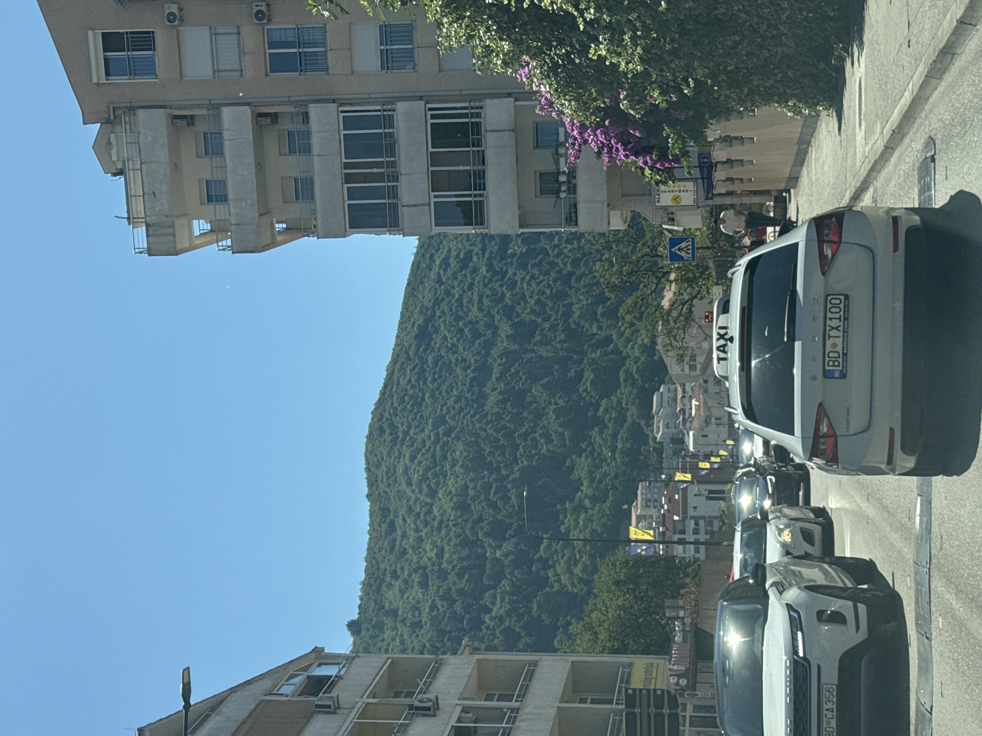 The image depicts a sunny day in Budva, Montenegro, likely in a busy urban area with traffic. In the foreground, several cars are stopped in traffic on a paved road. The first car on the left is a white Range Rover with a license plate that reads "BD CA 356". To its right is a white hatchback, followed by darker vehicles. A silver Skoda Octavia taxi with a license plate reading "BD TX 100" is prominent in the middle of the frame. Behind the cars, buildings line the street. On the right, a multi-story building with balconies and large windows is visible, adorned with blooming purple flowers. A man in a white shirt and dark pants is walking on the sidewalk. Further in the background, a densely forested green hill rises under a clear blue sky, characteristic of the Montenegrin landscape. Several yellow flags with blue accents are seen attached to lampposts, suggesting a public event or advertisement. The overall scene captures a typical day with moderate traffic in a coastal Montenegrin city.