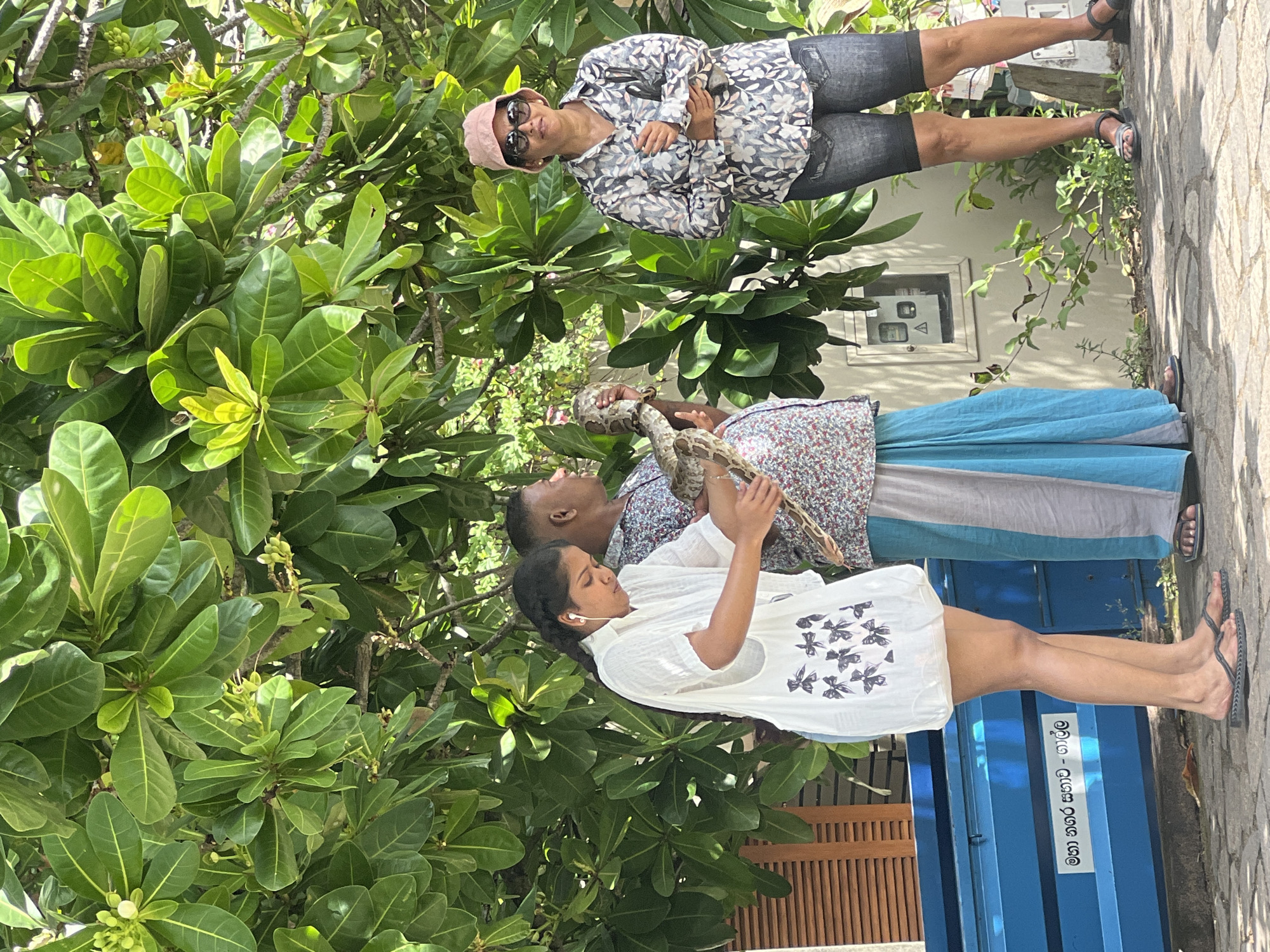 In Galle, Sri Lanka, three individuals are visible under lush green foliage. On the left, a woman with braided hair and white earbuds is wearing a white, short-sleeved tunic with a black butterfly pattern and blue jeans, holding a snake. In the center, a man wearing a floral print shirt and a blue sarong is also holding the snake. To the right, a woman in a patterned shirt and denim shorts, wearing sunglasses and a pink hat, observes the snake. A blue trash receptacle is to the left of the frame, with text in a local script visible on its side. The ground is paved with stone.