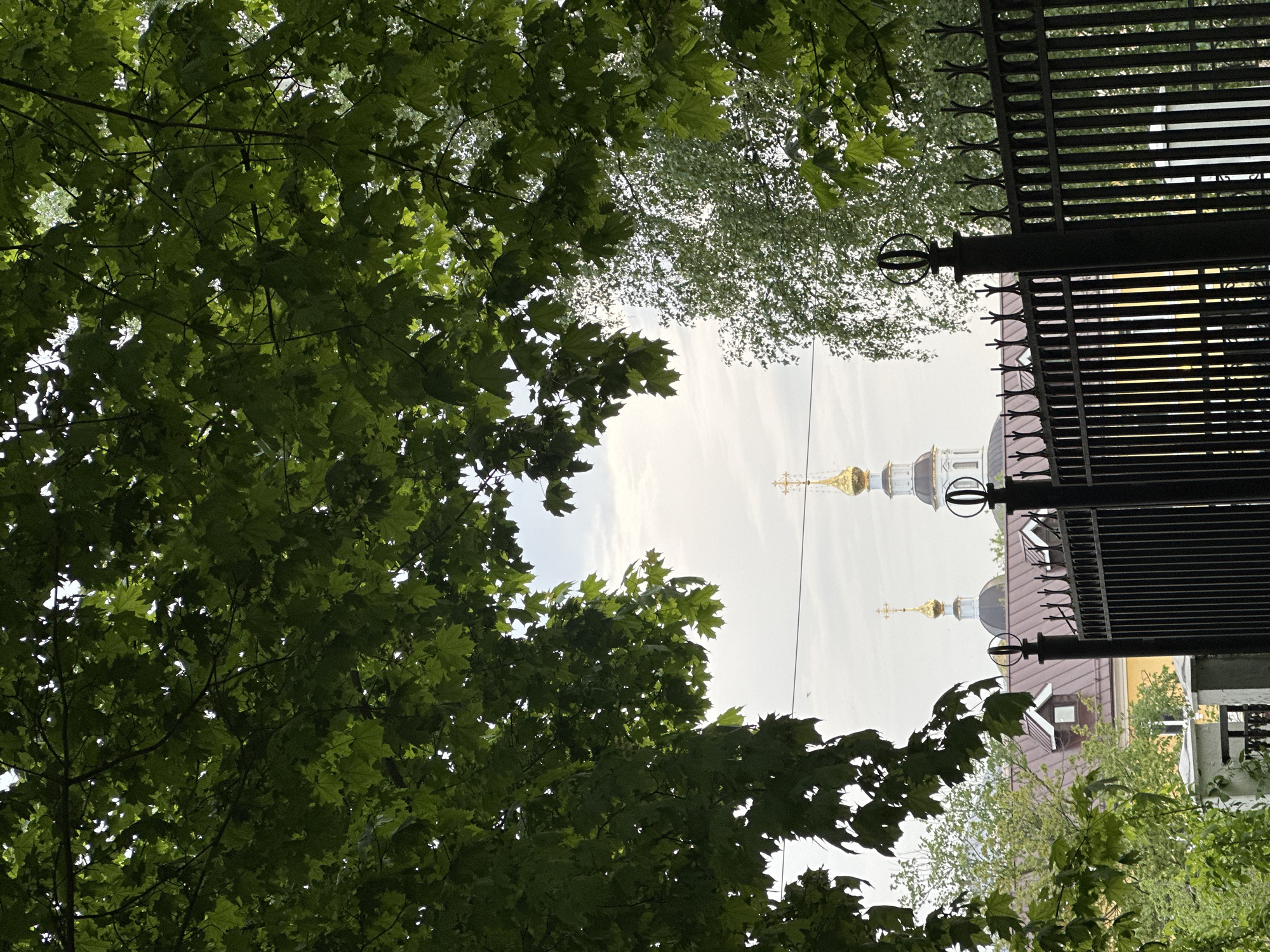A view from ground level towards a partially obscured church exterior with golden domes and crosses, seen through trees and an iron fence in Vladimir, Russia. The leaves of the trees are green and full. The fence is black and has decorative elements. The sky is overcast.