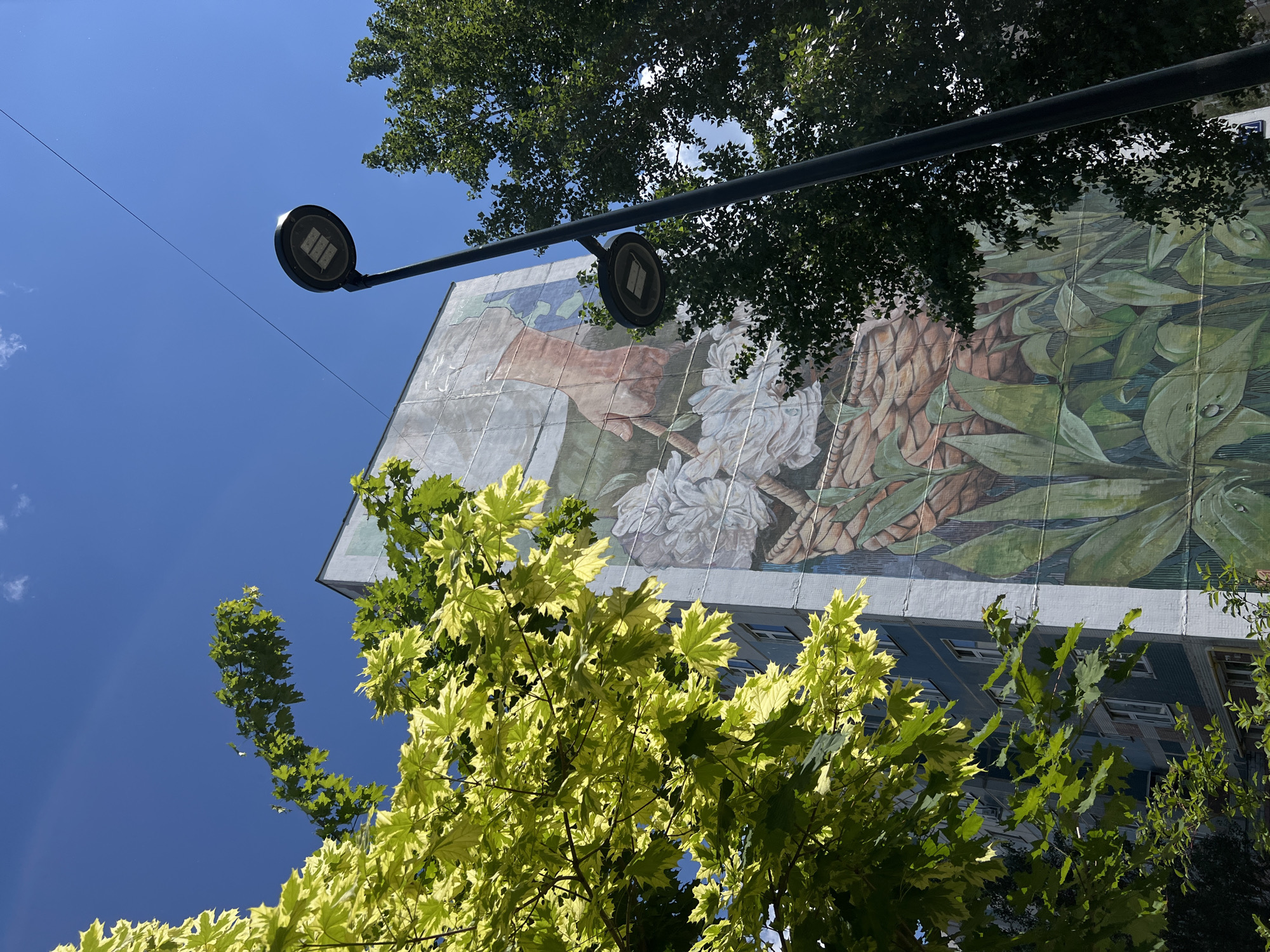 This is a low-angle shot of a multi-story building featuring a large mural. The building is painted in a light blue color and has a grid of windows. The mural depicts a hand reaching towards a basket filled with white flowers and greenery. The scene is framed by lush green trees and a bright blue sky. A black lamppost stands in the foreground. The mural is located on a building at ulitsa Sibgat Khakima, 17, in Kazan, Russia, and is a prominent piece of street art in the city.