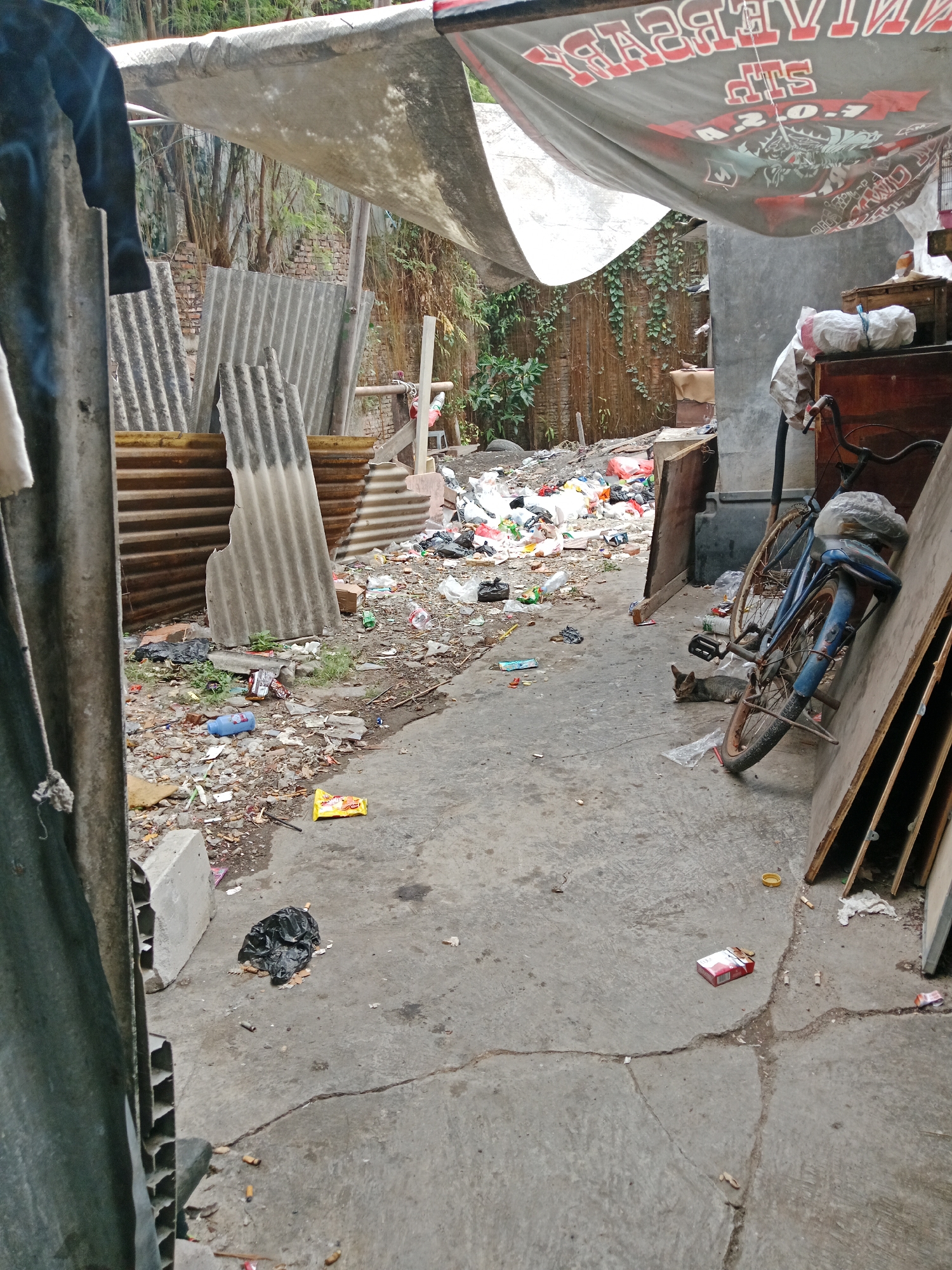 The image depicts a very cluttered and unkempt outdoor area, possibly a backyard or alleyway, within the city of North Jakarta, Indonesia. The ground is primarily concrete, cracked and dirty, with a significant amount of debris scattered across it. This debris includes plastic bags, wrappers, bottles, cigarette butts, and other miscellaneous trash.
In the background, there are piles of corrugated metal sheeting and what appears to be more trash. A makeshift awning, made of what looks like weathered tarp material, is stretched over a portion of the scene. A bicycle, weathered and leaning against a wall or structure, is visible towards the right side of the image. Next to the bicycle, a small, tabby cat is lying on the ground.
Further to the right, there are wooden boards and structures, some of which are leaning against a concrete wall. A wooden cabinet or table is visible with some white bags or bundles on top. The overall environment suggests a state of neglect and disarray, with a strong presence of litter and discarded materials. The lighting suggests it is daytime.