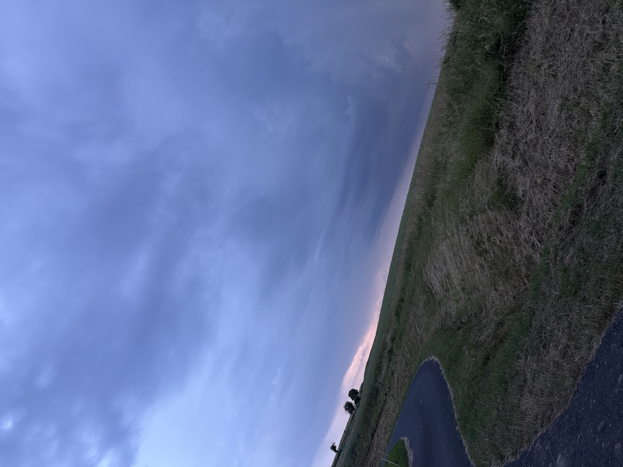 The image depicts a rural landscape, likely in the city of Niederquembach, Germany, during twilight. A dark asphalt path curves into the frame from the lower left, bordered by a grassy slope. The grass on the slope varies in color, with patches of green interspersed with dried, brown vegetation. The terrain appears to be a gentle incline under a dramatic sky filled with dark, moody clouds tinged with a soft pink and lavender hue on the horizon. A few small trees are visible scattered across the upper portion of the grassy slope. The overall atmosphere is somber and serene.