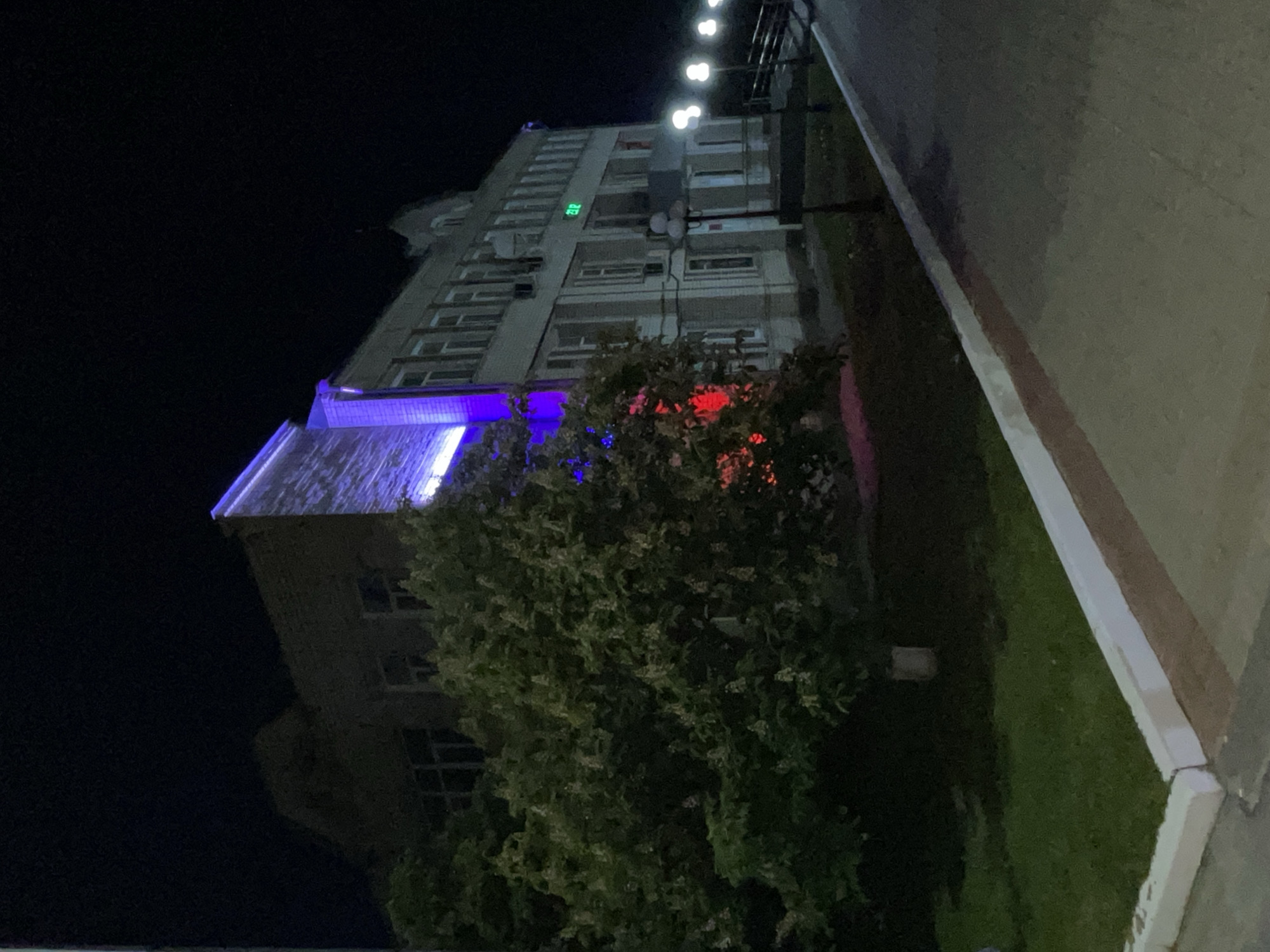 The image depicts a multi-story building at night in Красные Баки, Russia. The scene is illuminated by artificial lights, with a dark night sky overhead. No people are visible.
The building's architecture is functional, with numerous windows arranged across its facade. A distinct purple light illuminates the lower section and the roofline of the building. In the foreground, a large, dense bush or tree is prominent, reflecting red and blue light from an unseen source. On one of the upper floors of the building, a digital LED display is clearly visible, showing the time as "17:33".
To the right of the building, a paved area, likely a sidewalk or road, runs parallel to a grassy strip, bordered by a white curb. A series of streetlights extends into the distance above this pathway, casting ambient light. The overall atmosphere is quiet, characteristic of an evening in a town or city, with the decorative lighting adding a colorful element to the otherwise dark setting.