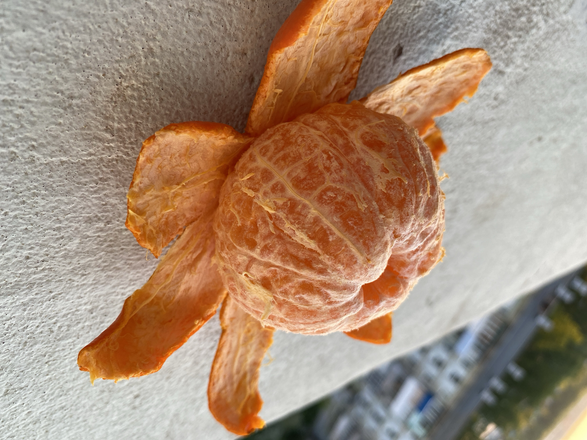 A close-up shows a peeled tangerine placed on a white, textured surface, possibly a concrete ledge, with its peel fanned out around the fruit. Below the ledge is a blurred cityscape featuring buildings, roads, and greenery, suggesting an elevated perspective. The tangerine is the central focus, exhibiting its segmented structure, while the peel displays its inner, lighter-colored surface. The background details suggest an urban environment, although the exact location within the city is not specified.
