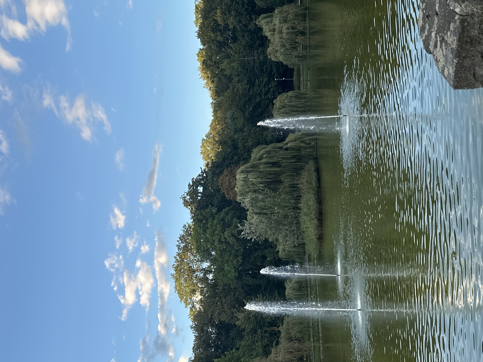 A serene view of a park in Racibórz, Poland, showcases a calm lake with three active water fountains, their streams creating delicate plumes against a backdrop of lush greenery. The sky above is a clear, bright blue, dotted with fluffy white clouds. The lake's surface reflects the surrounding trees and sky, creating a shimmering, impressionistic effect. The foliage is dense and varied, with different shades of green and some trees exhibiting a weeping willow-like appearance. In the foreground, a large, rough-hewn rock sits on the edge of the water, adding a natural element to the scene. The overall atmosphere is peaceful and tranquil, typical of a well-maintained public park.