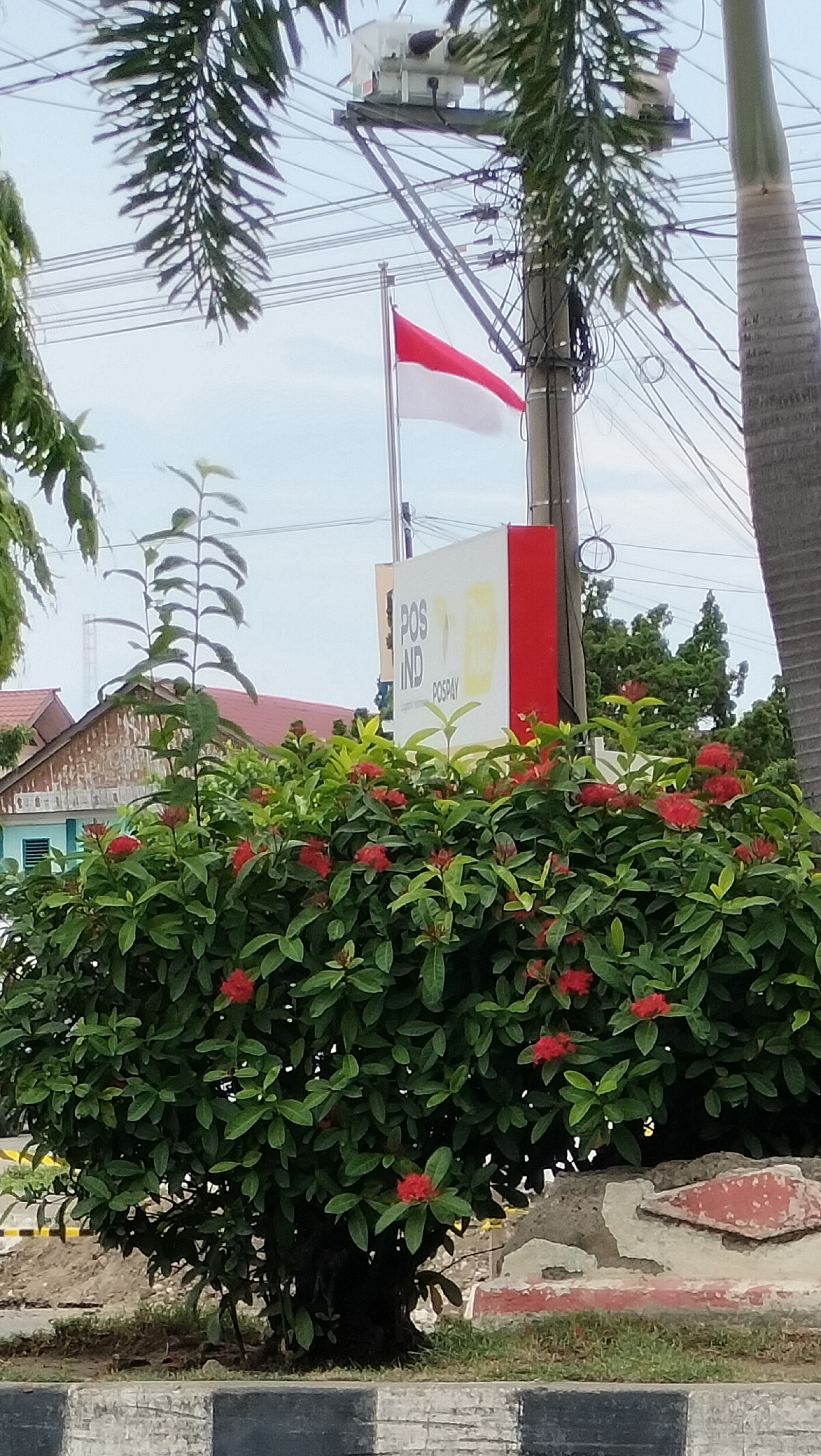 The image captures an outdoor scene in Lhokseumawe, Indonesia, featuring a prominent red and white Indonesian flag flying on a pole. Behind the flag, a white and red sign with the text "POS IND POSPAY" is visible. A lush green bush with small red flowers is in the foreground, partially obscuring a concrete barrier. In the background, a building with a weathered wooden facade and a red roof can be seen, along with electrical wires and a utility pole. A tall palm tree is visible on the right side of the frame. The sky is overcast.