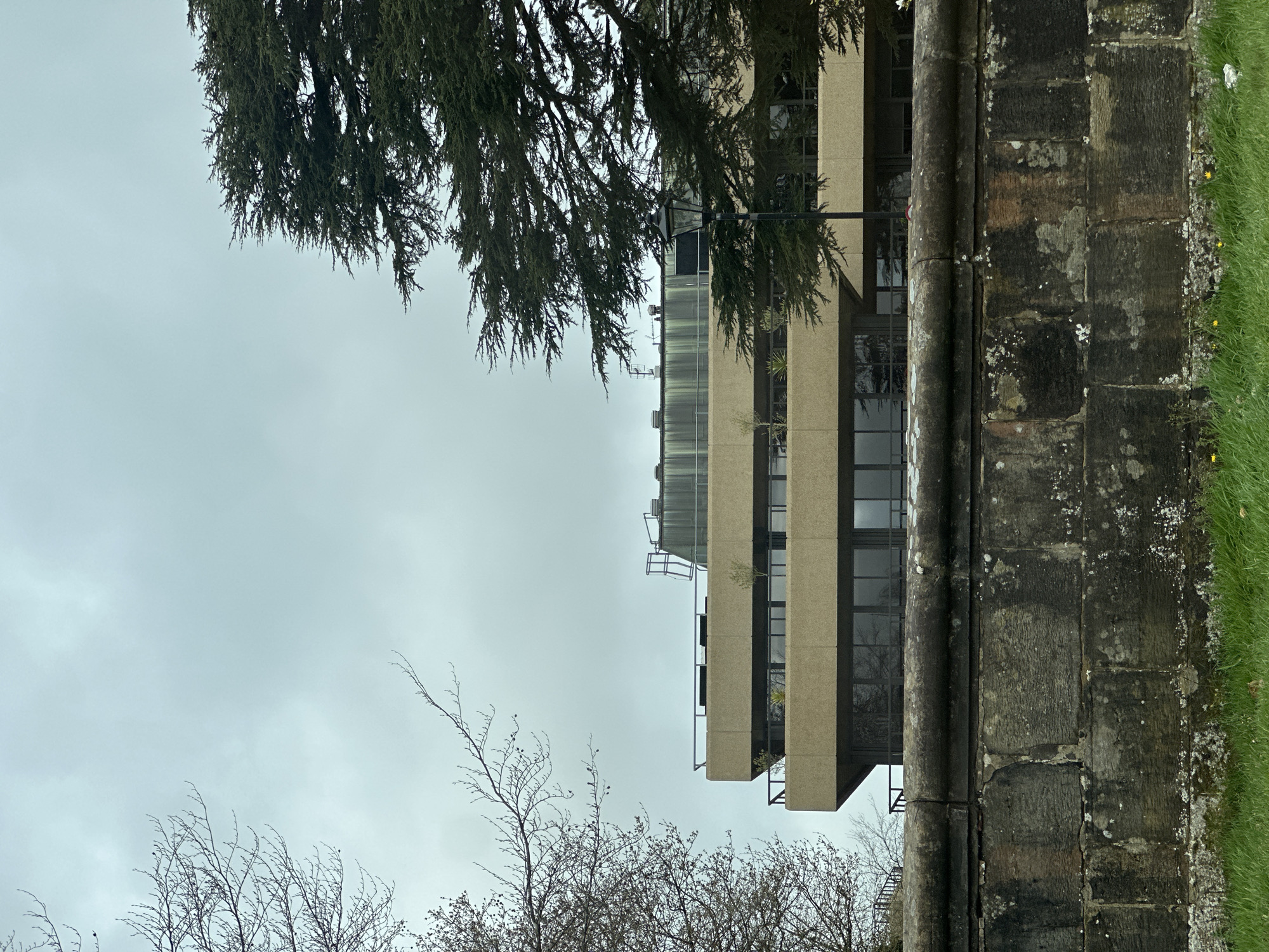 A view of a modern, multi-story building with a concrete and glass facade, seen from a low angle. The building is located behind a lichen-covered stone wall. Above and beside the building, the branches of bare and coniferous trees are visible against a cloudy sky. The scene is situated in Tunbridge Wells, United Kingdom.