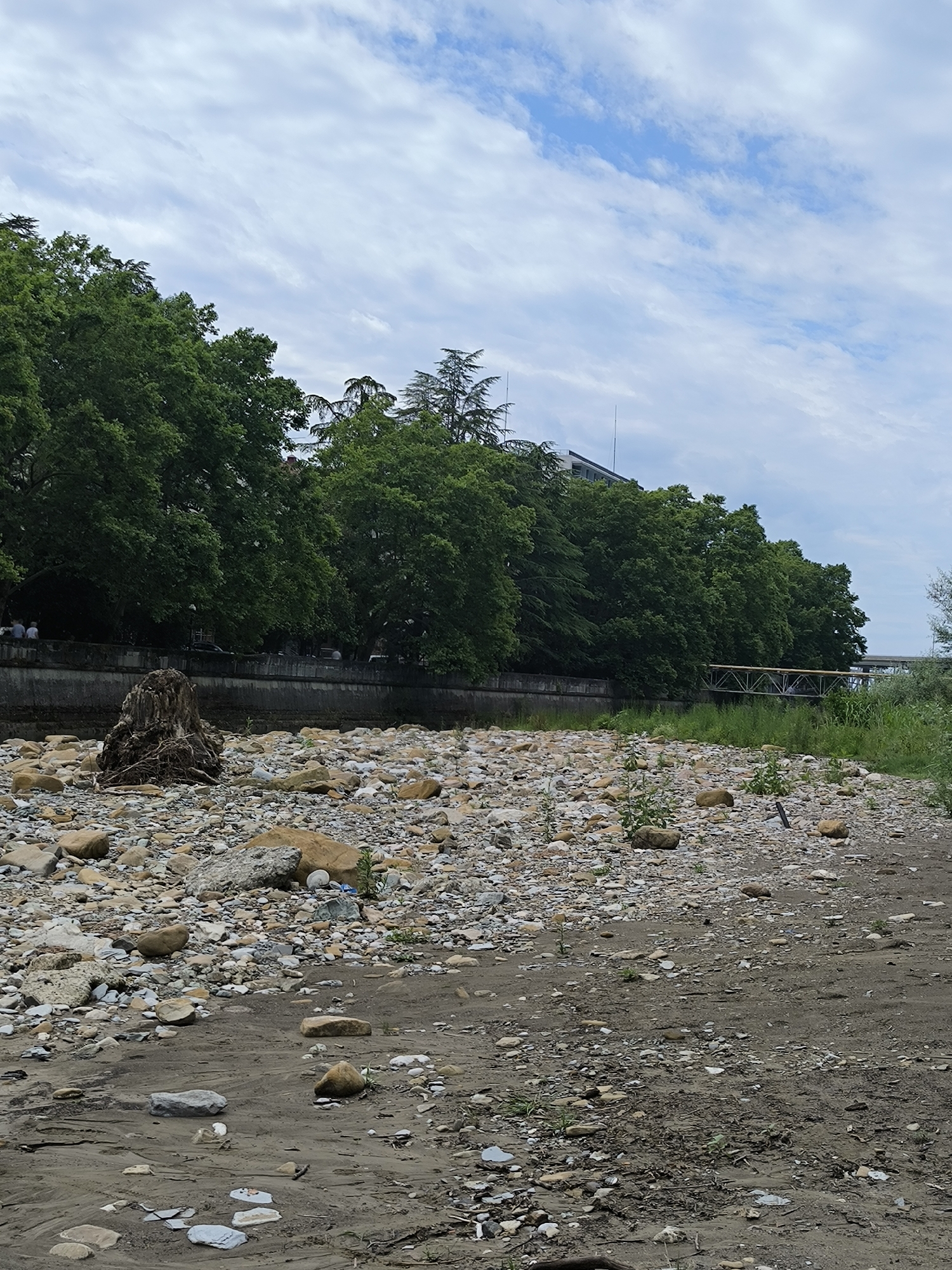 This image depicts a dry riverbed lined with rocks and a muddy embankment, with a dense line of green trees forming the backdrop. In the distance, a modern building and a bridge with a yellow pipe are visible. The sky is partly cloudy. On the embankment, several people are seated on a low wall. A large, gnarled tree stump is prominently positioned in the foreground of the riverbed, amidst a scattering of smaller rocks and debris.
This scene is characteristic of the area along the Sochi River in Sochi, Russia, particularly in sections where the river has been channelized or experienced periods of low water flow. The presence of the wall, trees, and urban structures suggests proximity to a developed area within the city. The dry riverbed and exposed rocks are typical of a river that experiences significant seasonal variation in water levels, or has been engineered to manage water flow. The people seated on the wall indicate this is a publicly accessible area, likely a park or promenade along the river.