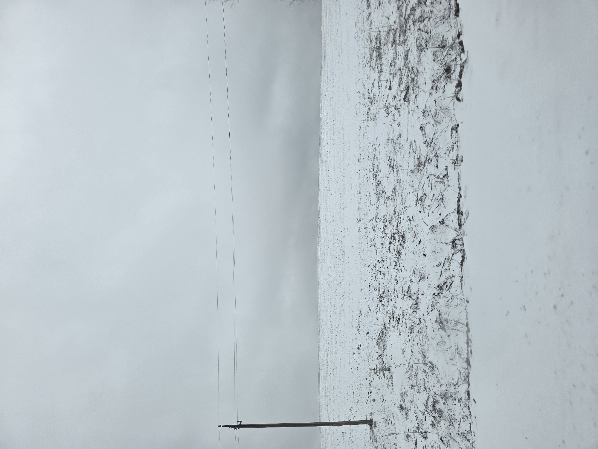 The image depicts a snow-covered field under an overcast sky in Nekrasovo, Russia. An electrical pole stands along the bottom of the field, with power lines extending into the distance. Sparse vegetation is visible through the snow cover on the field. The sky is gray and uniformly cloudy.