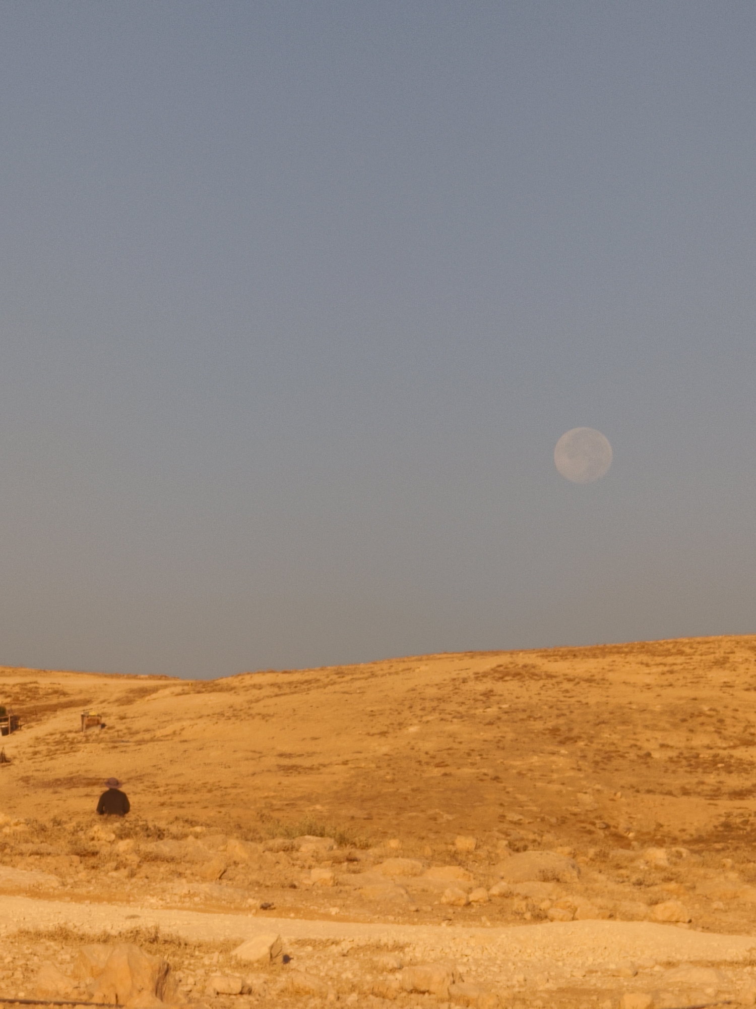 In the city of Keidar, Palestinian Territories, a person is observed sitting in a desert landscape. The environment is characterized by sand dunes and sparse vegetation. The sky above is a clear, pale blue, and a full moon is visible in the upper right quadrant of the image. The overall scene suggests a solitary moment in a vast, arid expanse.