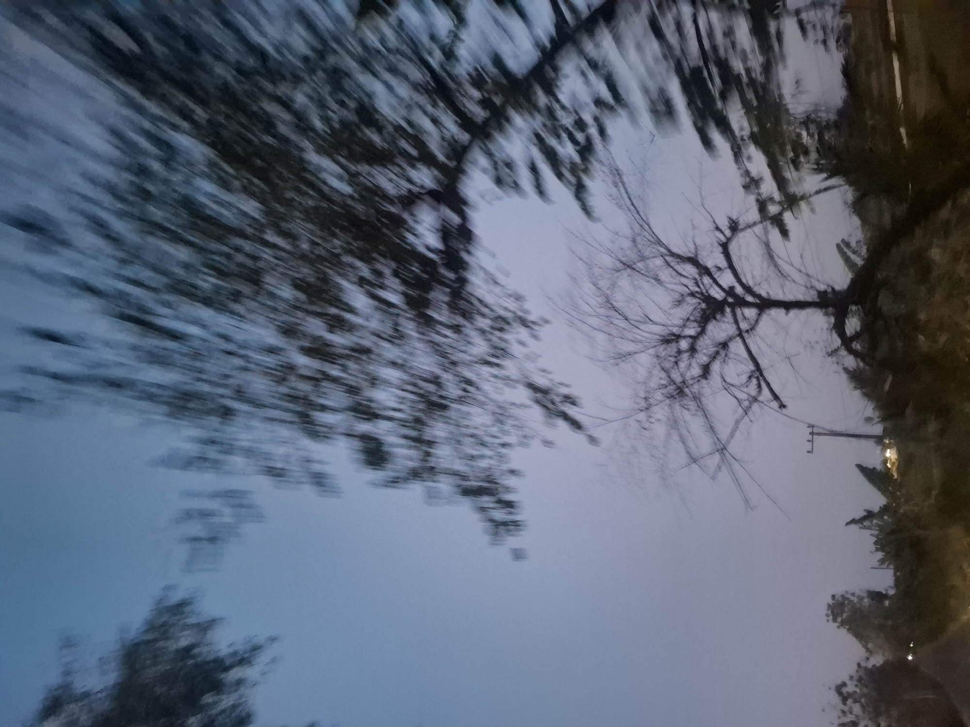 A motion-blurred photograph depicts a twilight scene with trees and a power pole against a pale blue sky. In the foreground, the branches of a leafless tree are visible, along with darker, foliage-heavy trees on the right. A utility pole with wires stands in the mid-ground, behind a line of dense vegetation. The overall impression is one of movement or wind. The location is identified as Gampang Sejati, Indonesia.