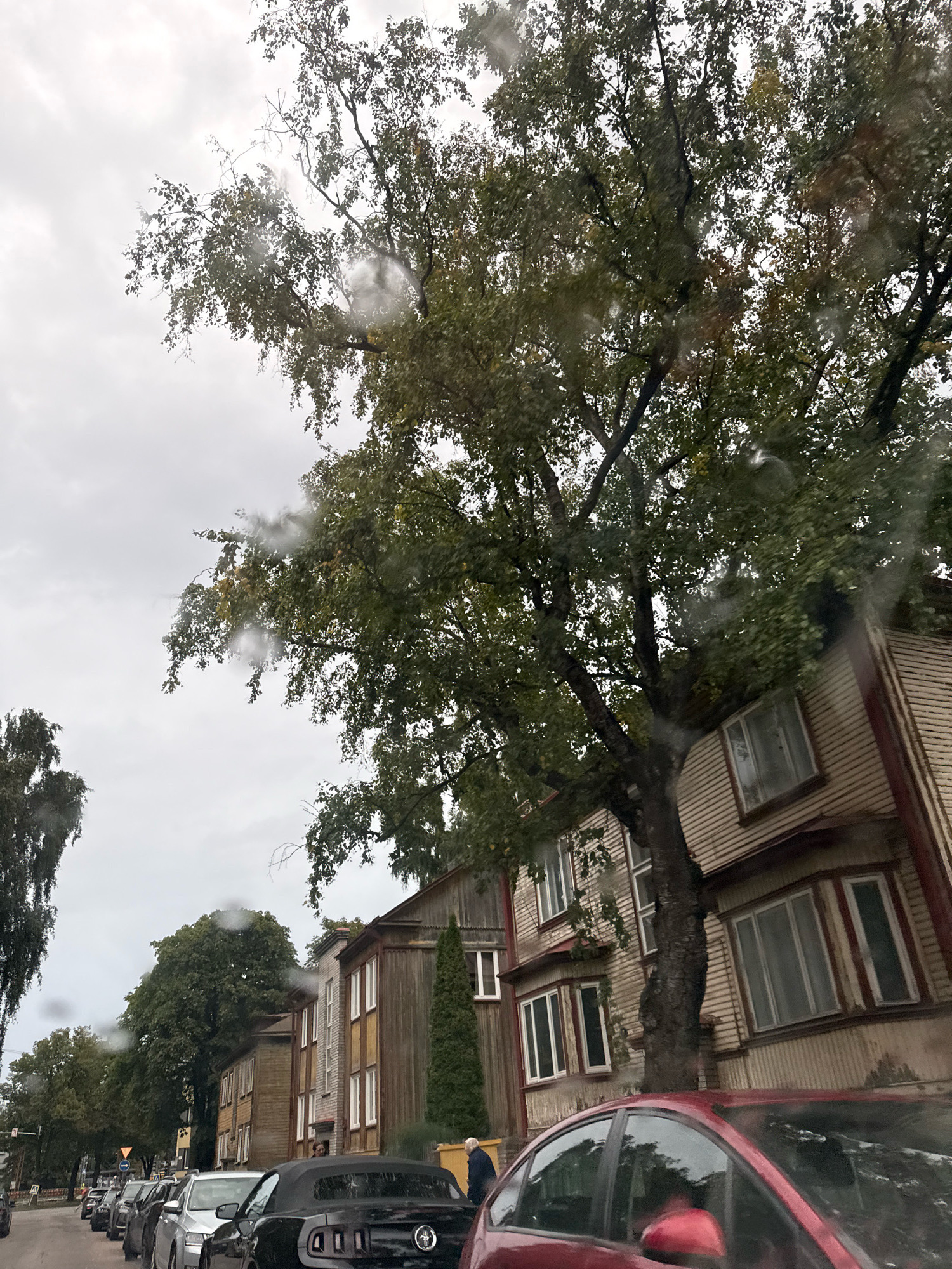 A dark red car is in the foreground, partially obscuring a black convertible with a license plate visible. A man in a dark jacket is standing next to the black car. Several other cars are parked in a row along a street lined with wooden houses. A large tree with green leaves stands between the houses and the street. The sky is overcast, and the image appears to be taken through a wet window, indicated by water droplets on the glass. The scene depicts a street in Tallinn, Estonia on a cloudy day.