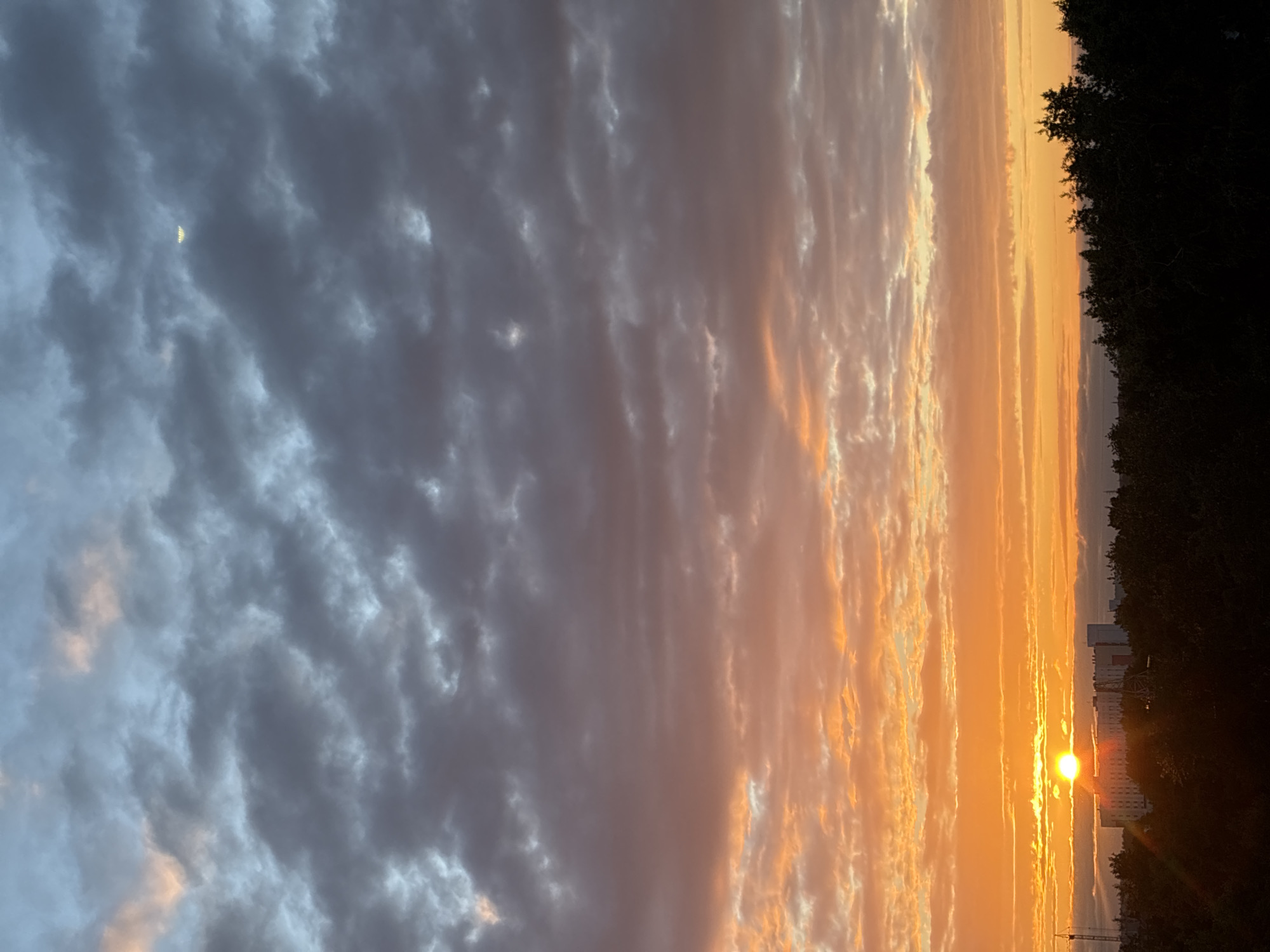 An eye-level, vertical, outdoor, full shot captures the sky at dawn or dusk over an urban area. The sky dominates the frame, transitioning from a pale blue at the top to a vibrant orange and yellow hue closer to the horizon. Wispy clouds of varying shades of gray and pink are scattered throughout, with some illuminated by the low-hanging sun. In the distance, the silhouettes of trees and buildings are visible against the bright sky. The sun itself is a bright orb, partially obscured by clouds, casting a warm glow on the scene.