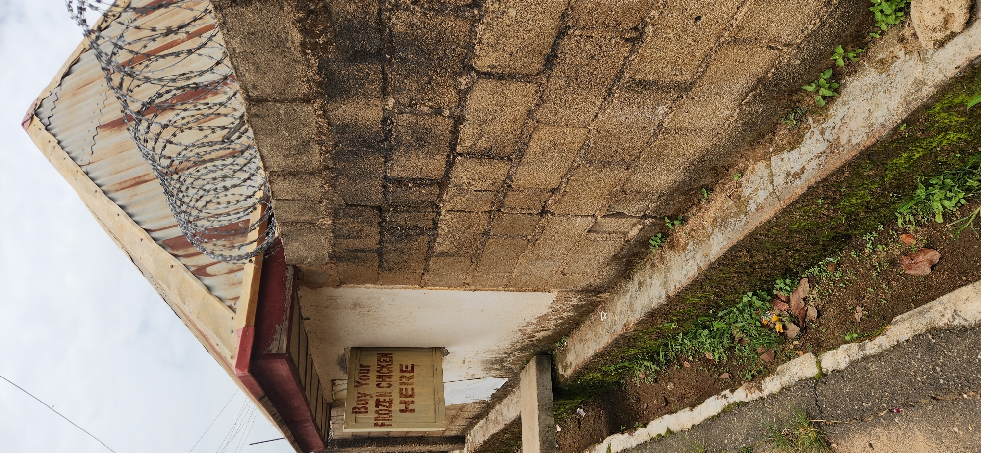 This image depicts an outdoor scene, likely in Jos, Nigeria. The primary subjects are architectural elements and some vegetation. A corrugated metal roof with a wooden frame and barbed wire is visible in the upper left. Adjacent to this is a rough, brick or concrete wall with dark stains, suggesting age and exposure to the elements.
Below the wall, a section of a building's exterior is visible, featuring a cream-colored surface and a light brown sign with the text "Buy Your FROZEN CHICKEN HERE" in dark lettering. The sign appears to be made of slatted wood.
The ground level shows a drainage ditch with moss and green vegetation growing within and alongside it. The ditch is bordered by a concrete structure. A paved surface, possibly a road or walkway, is visible in the lower right, with cracks and some sparse grass growing through.
The lighting suggests it is daytime, with overcast or diffused light. The overall impression is one of a utilitarian, possibly commercial, location in an urban or semi-urban environment, with signs of wear and tear and natural overgrowth in the drainage areas. No people are visible in the frame.