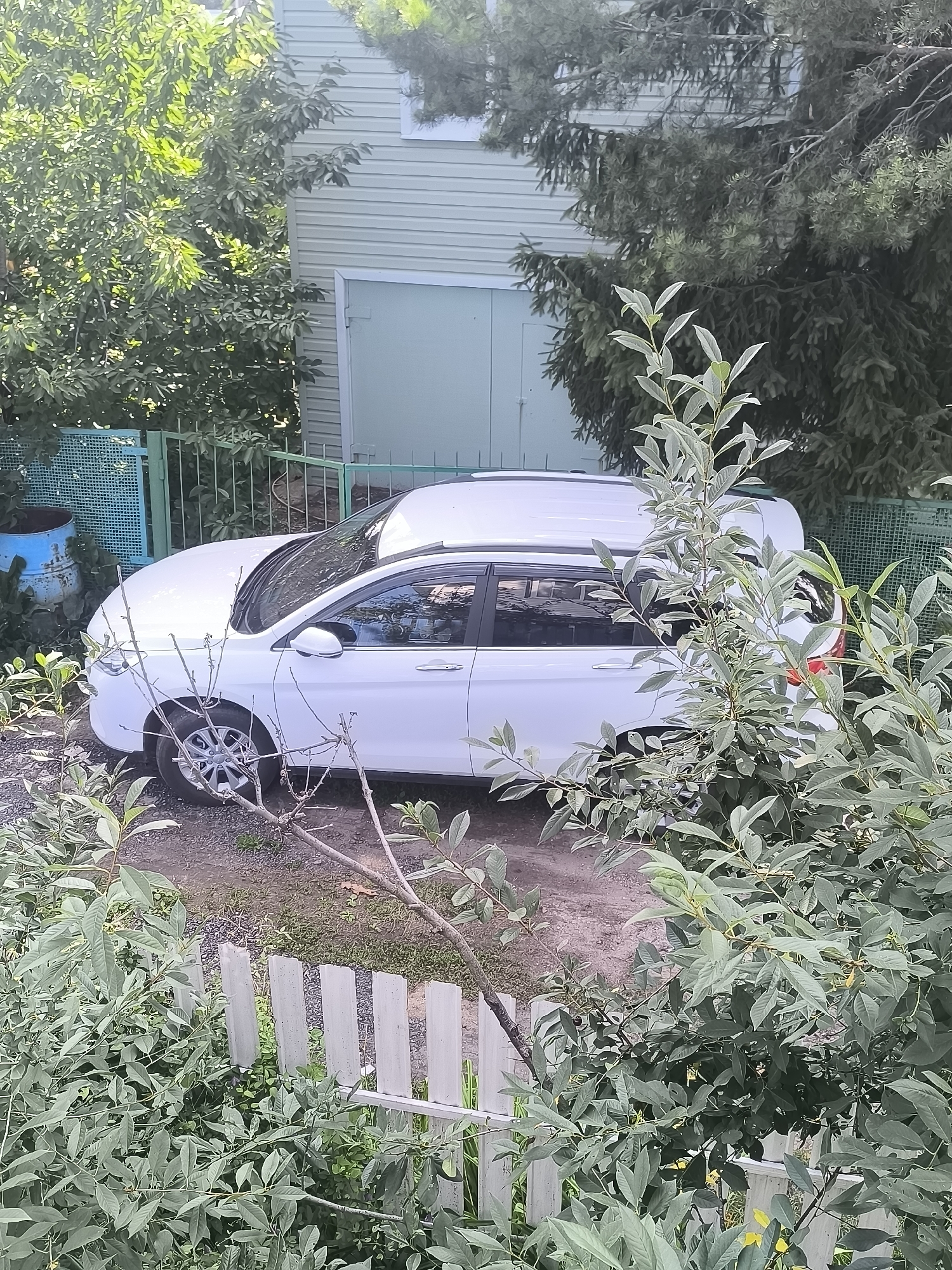 A white station wagon is parked on a gravel surface in front of a light green, horizontal-siding house in Березки, Russia. The car is partially obscured by lush green foliage from several trees and bushes. A light blue, rusted barrel sits behind a green mesh fence to the left of the car. A white, picket-style fence is visible in the foreground, also partially covered by leaves. The sky is not visible.
