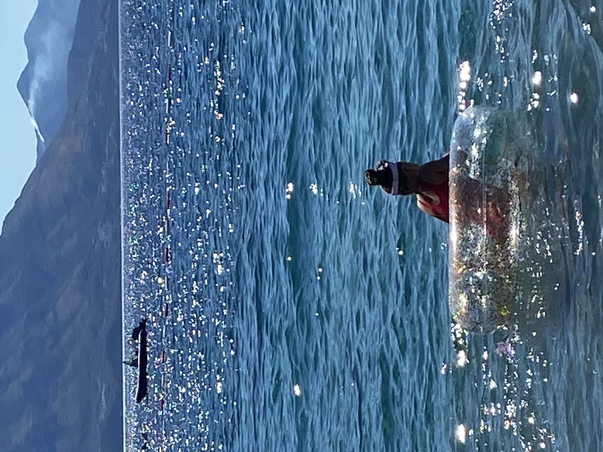 The image shows a person in the water at Prijevor, Montenegro. The person is wearing a red swimsuit and is sitting in a clear inflatable ring with glitter. The water is blue and appears to be sparkling due to the sunlight. In the background, there are mountains and a boat on the water. The scene suggests a recreational activity in a coastal area.