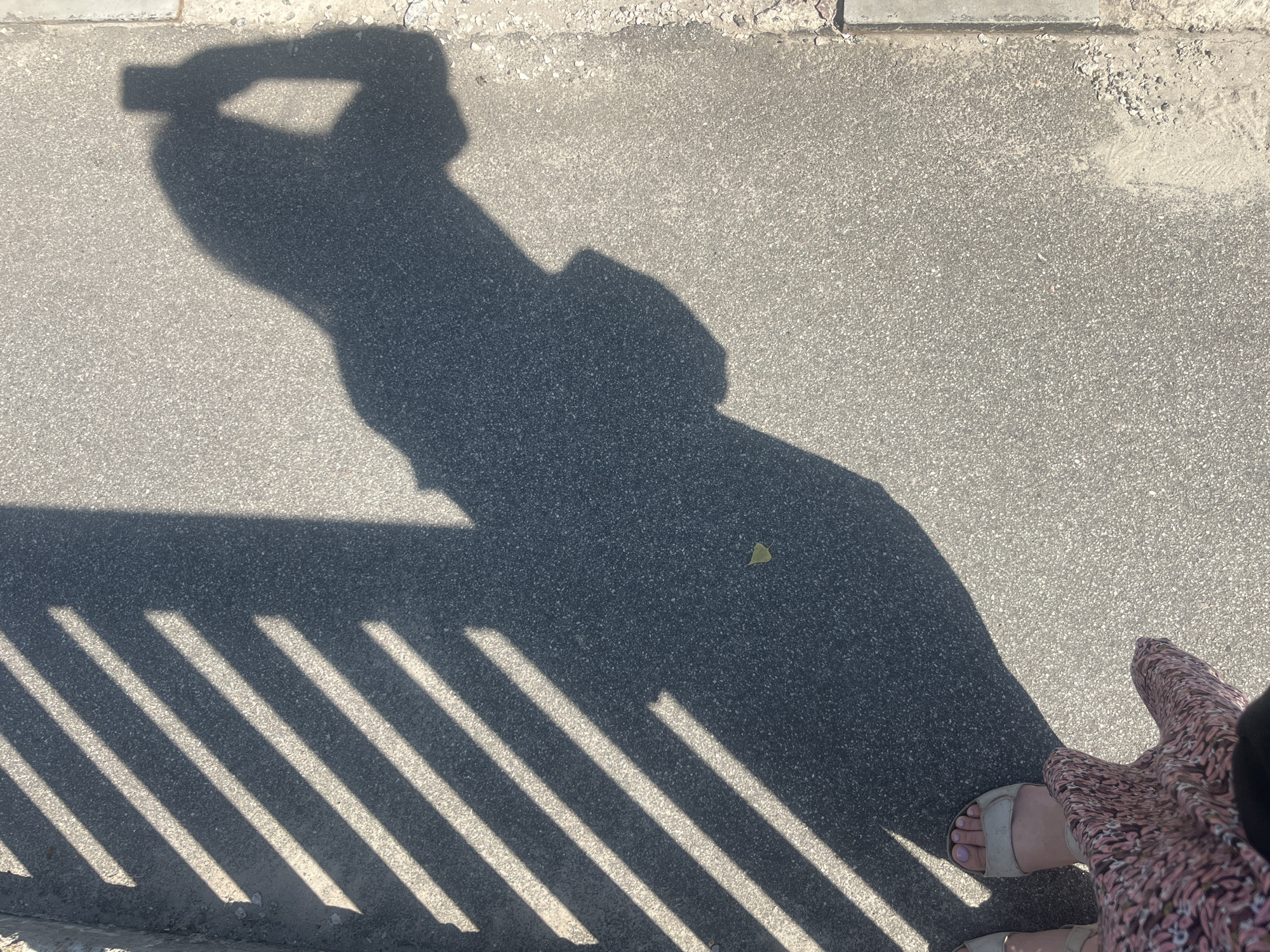 An outdoor, eye-level, full shot shows a shadow of a person taking a selfie with a smartphone, with their feet and the bottom of their dress visible in the foreground. The shadow of a fence or railing creates diagonal stripes of light and shadow across the asphalt ground. A single yellow leaf is visible on the ground near the center of the frame. The scene appears to be a paved walkway or sidewalk. The image does not provide any specific geographical markers to confirm the location in Kyiv, Ukraine.
