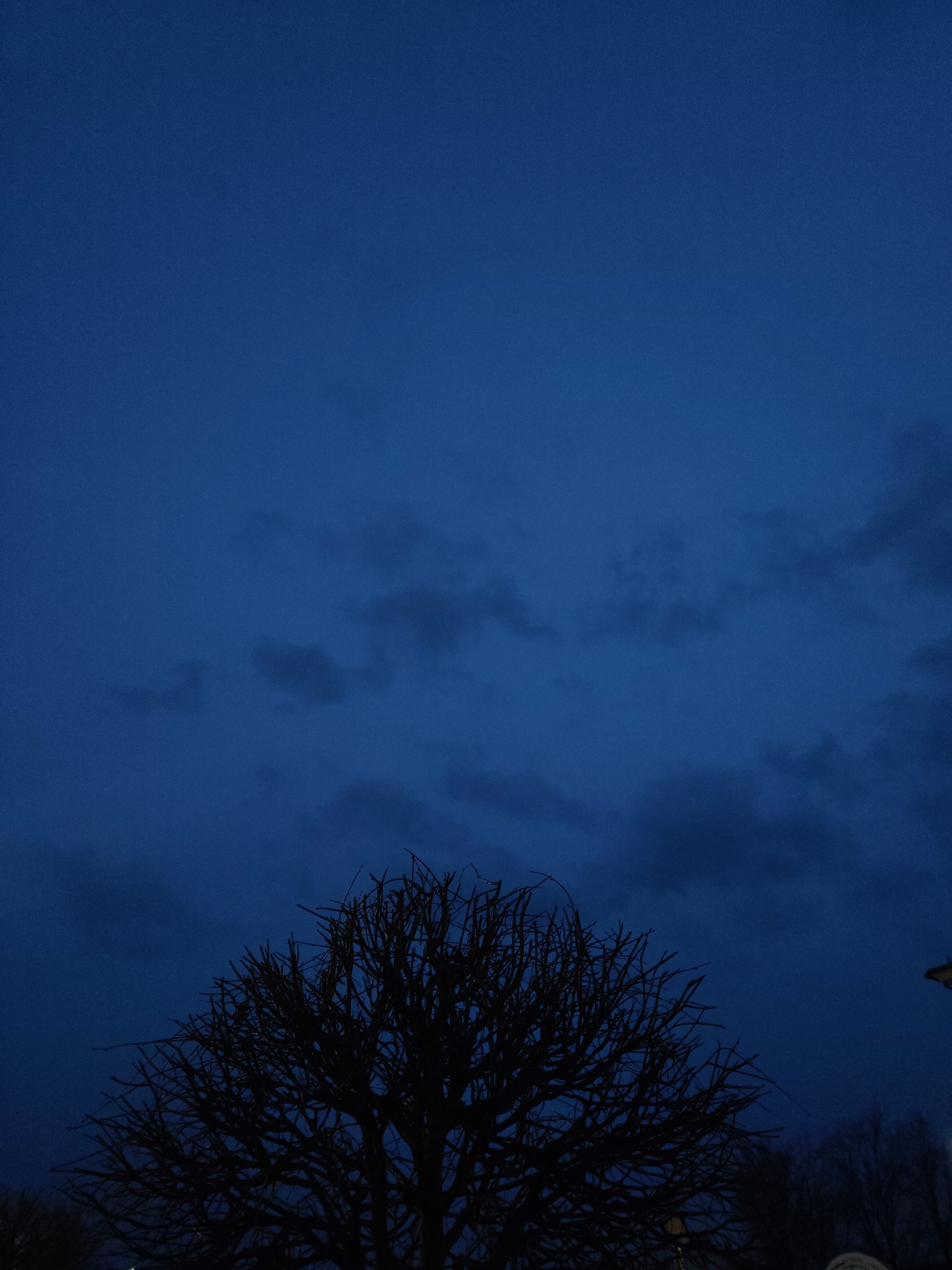 The image shows a dark blue sky with some clouds at dusk or night in what looks like the city of Unknown, Unknown. In the foreground is the silhouette of a bare tree. Some trees are also visible in the background. The lighting is very low, and the scene is almost entirely monochrome.