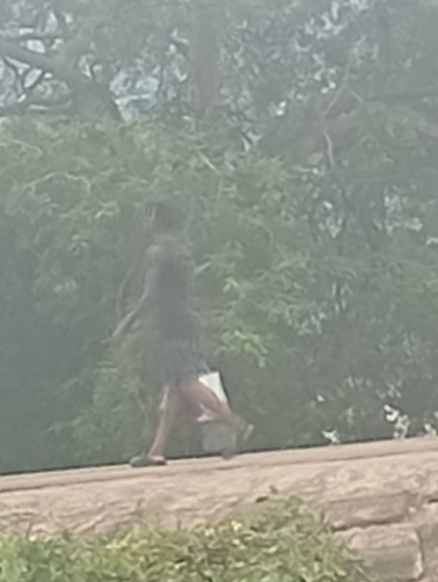 In the city of Unknown, Unknown, a person is walking on a paved path with greenery and trees in the background. The person is wearing a dark top and a light-colored skirt. They are carrying a light-colored bag. The path is a light brown color, and there is more greenery and rocks in the foreground. The image is blurry, making it difficult to discern finer details.