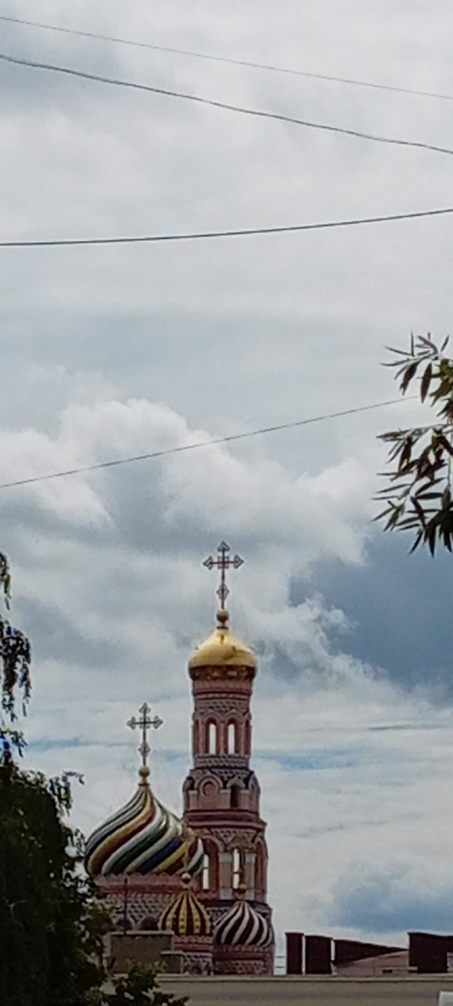 The image captures a view of the Trinity Cathedral in Tambov, Russia. The cathedral features a tall, ornate bell tower topped with a golden dome and a cross. To the left of the bell tower, a smaller, intricately decorated dome with colorful stripes and a cross is visible, characteristic of Russian Orthodox church architecture. In the foreground, parts of trees and foliage frame the scene, suggesting an outdoor vantage point. The sky above is overcast with dramatic, textured clouds. The overall impression is a close-up view of the upper portions of the cathedral against a moody sky, with hints of surrounding greenery.