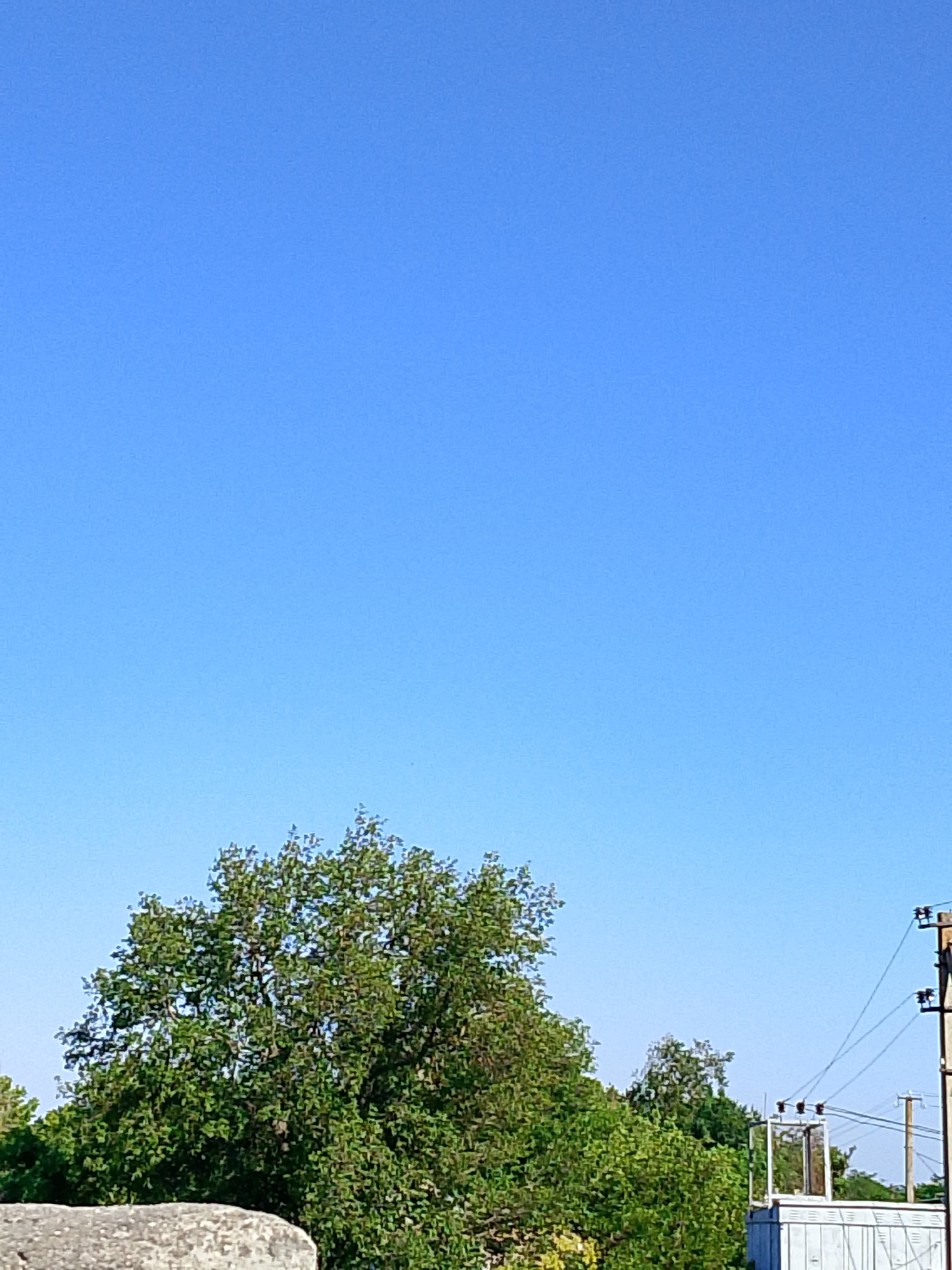 The image shows a clear blue sky above a line of trees. On the right side of the image, there is a utility pole with wires and a small electrical substation. In the foreground, a portion of a concrete structure is visible. The scene appears to be an outdoor setting in Pryvilne, Ukraine, possibly a rural or suburban area. There are no people or animals present in the image. The overall lighting suggests it is daytime.