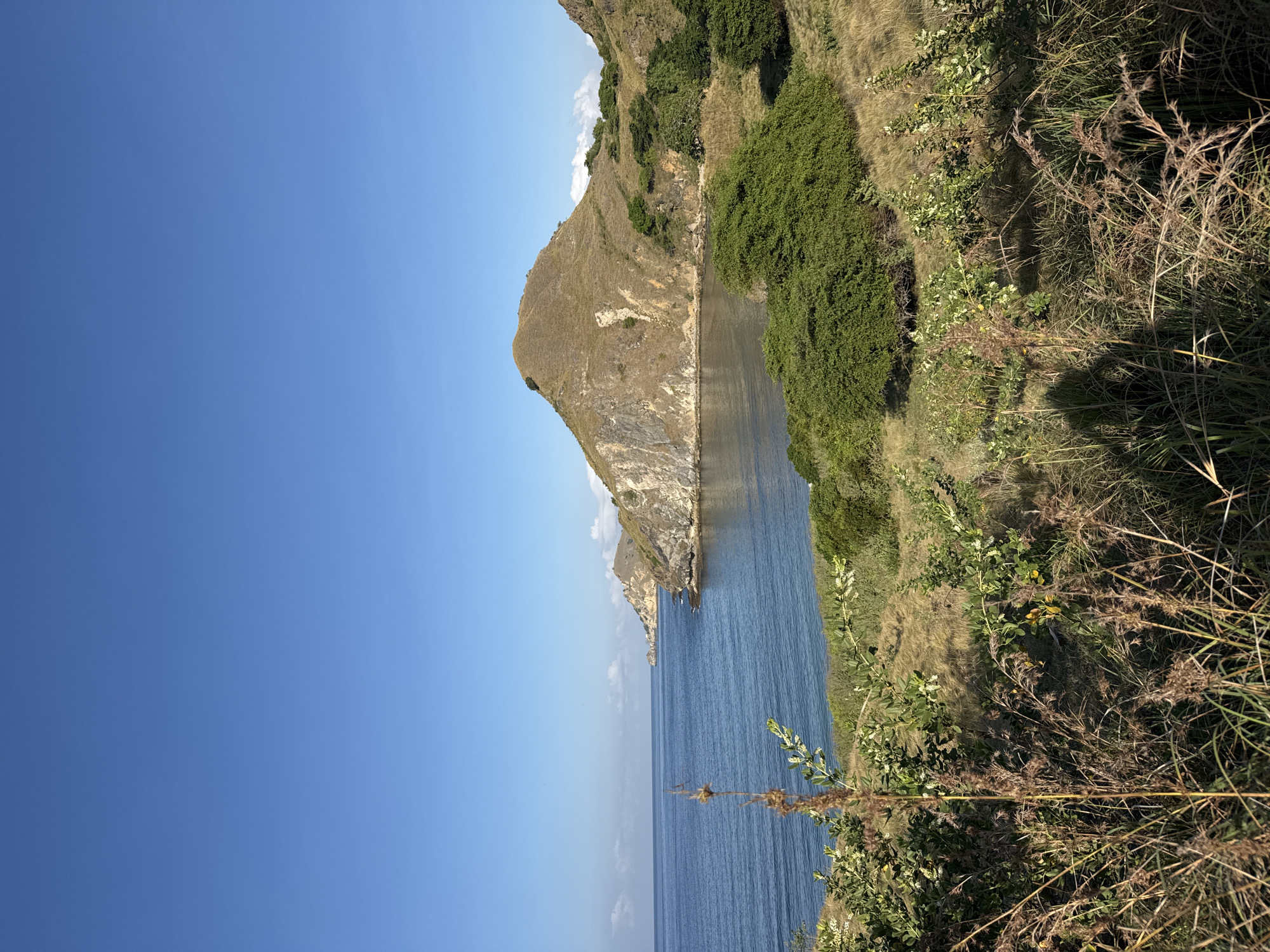 The image captures a coastal scene under a clear, blue sky. A rocky headland dominates the landscape, rising from the blue water. The headland's surface varies from rocky cliffs to grassy slopes and patches of green vegetation. The water is calm, with subtle ripples on the surface. The foreground shows grassy vegetation and some bushes. Location: Unknown, Indonesia.