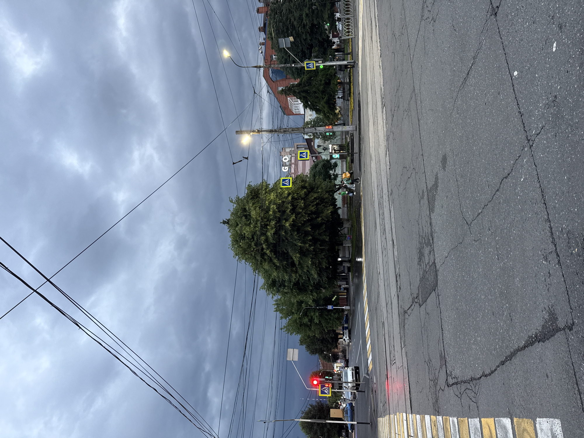 The image depicts an urban street intersection under a dark, overcast sky, suggesting impending rain or a storm. The foreground features a cracked asphalt road with prominent yellow and white pedestrian crossing markings. Several vehicles are present at the intersection, including a white car and a blue car, with one car stopped at a red traffic light. A pedestrian crossing sign is visible, indicating a designated crosswalk.
In the mid-ground, large green trees line the street, some with dense foliage. Several buildings of varying architectural styles are visible in the background, including a brick building and a modern structure with a red facade. Overhead, a complex network of power lines crisscrosses the sky. Streetlights are illuminated, casting a yellow glow. On one building, the letters "A G O" are visible.
The scene appears to be located in Assinovskaya, Russia. The overall atmosphere is somber due to the dark clouds and the urban setting. There are a few pedestrians visible, some walking and others standing, but no specific interactions are clearly discernible. The focus is on the intersection and its surrounding elements under a dramatic sky.