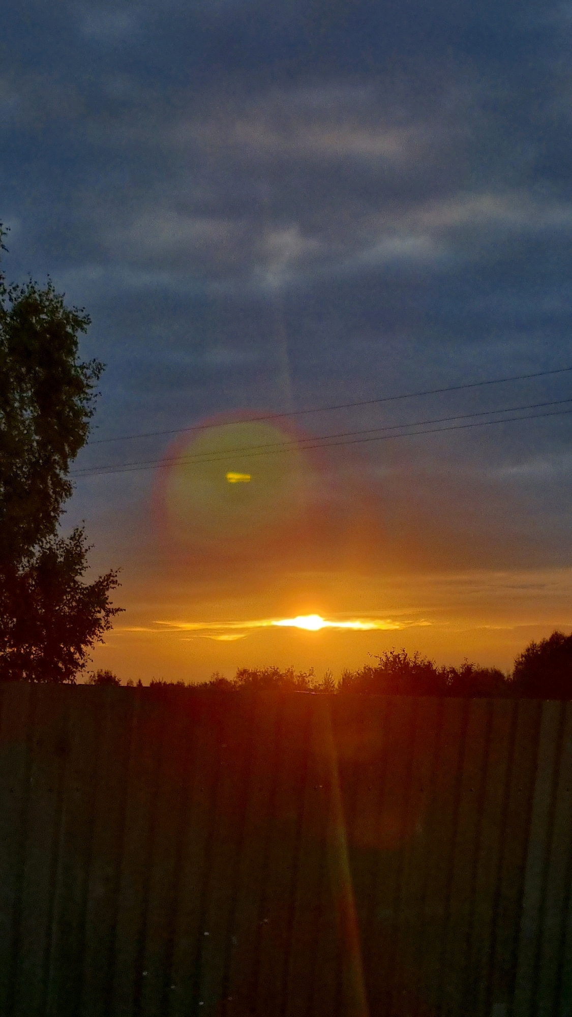 This is a vertical, low-angle, outdoor, full shot of a sunset behind a wooden fence in Vysokoe, Russia. The sky is a gradient of deep blue at the top to bright orange and yellow near the horizon. Dark, diffused clouds are present in the upper half of the sky. The sun is a bright, white orb just above the horizon, partially obscured by a thin band of clouds.
In the foreground, a dark, vertical wooden fence runs across the bottom of the image. The fence is weathered and appears to be made of vertical planks. Above the fence, silhouetted trees and bushes form a dark, uneven line against the brightly lit sky.
On the left side of the image, the dark silhouette of a leafy tree extends into the sky. Power lines are visible as thin, dark horizontal lines stretched across the sky. A bright, circular lens flare with a reddish-yellow halo and a yellow, elongated shape in the center is present in the upper middle portion of the sky, over the sunset.