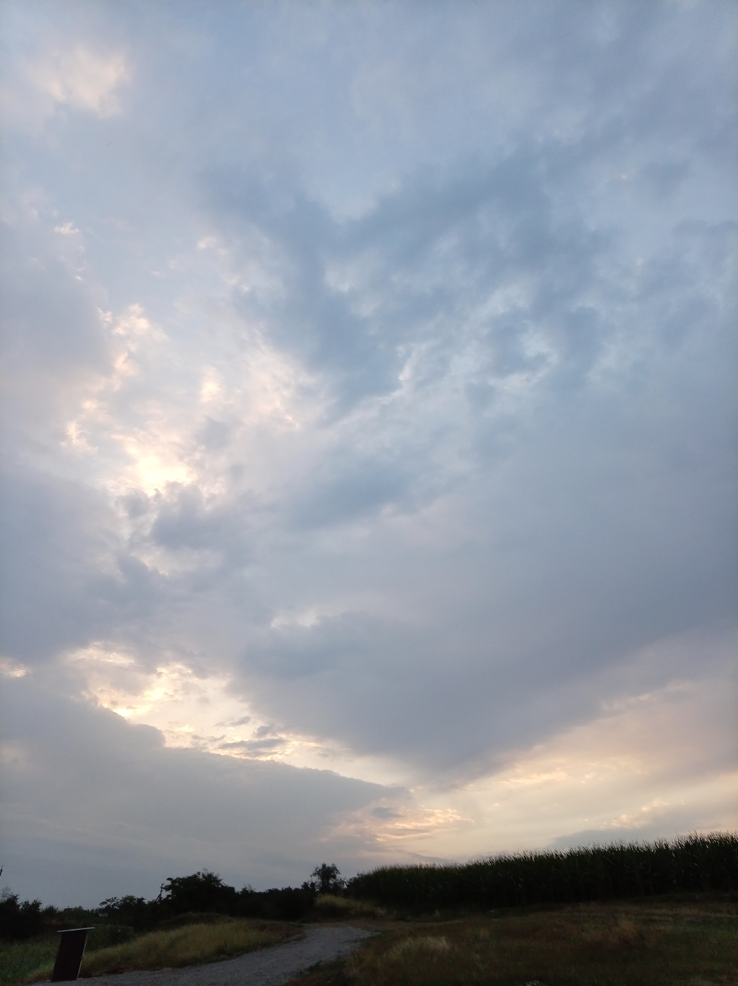 A vertical, eye-level shot shows a cloudy sky with some patches of sunlight breaking through in the upper left and center. The lower portion of the frame depicts a dark, silhouetted line of trees and a cornfield, with dry grass and a gravel path in the foreground. A small, dark brown structure with a red section is visible on the left side of the path. The scene is likely an outdoor rural or semi-rural environment, potentially near the city of Grazhdanskoye, Russia, given the presence of agricultural elements like a cornfield and the general landscape.