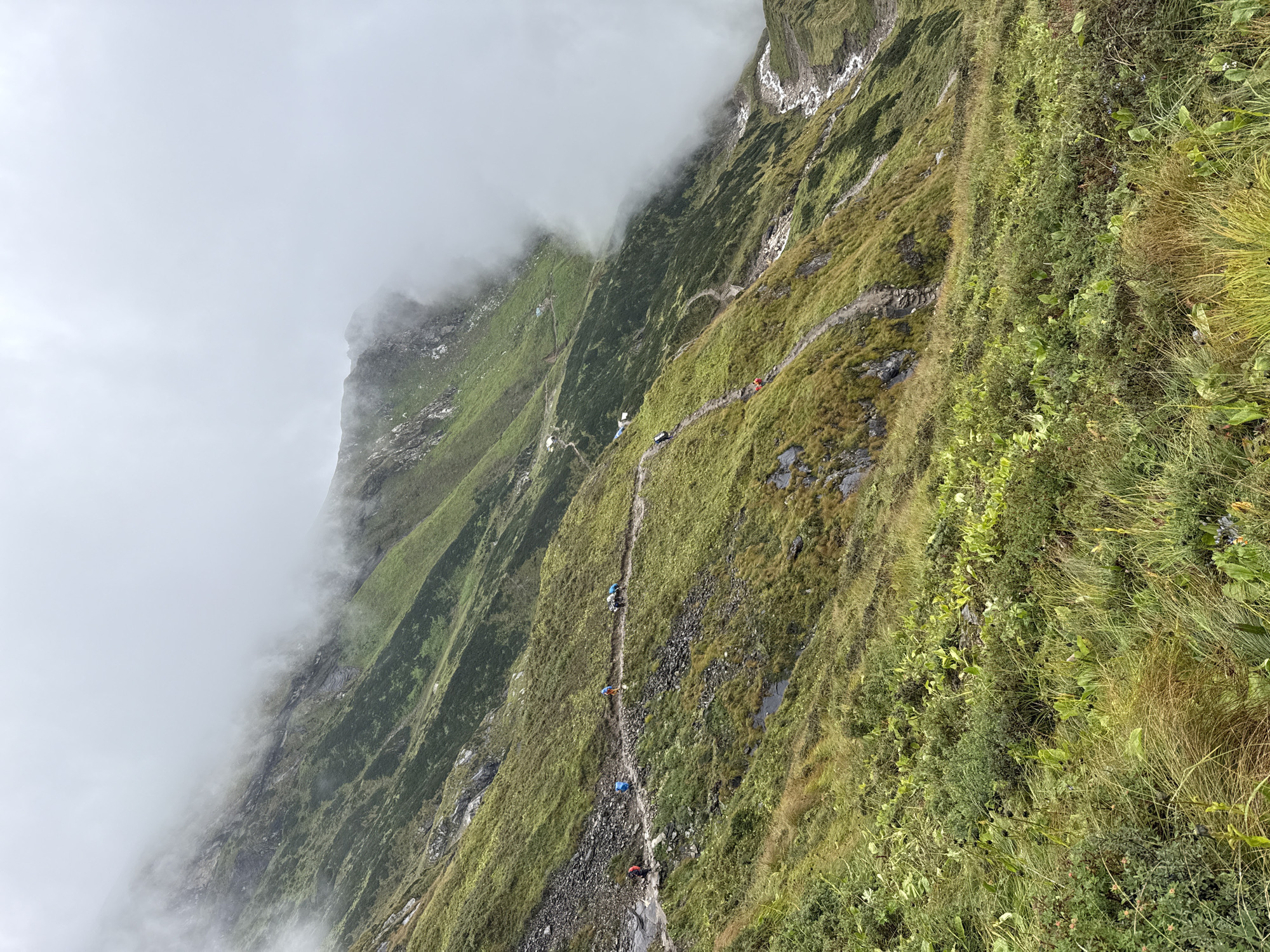 A group of hikers are walking along a muddy, winding trail on a steep, grassy mountainside in Samagaon, Nepal. The sky is overcast with heavy fog, obscuring the upper reaches of the mountain. The terrain is uneven and rocky, with patches of dense green vegetation and scattered boulders. Some of the hikers are wearing backpacks, suggesting they are on a trek. The trail appears to be narrow and challenging.