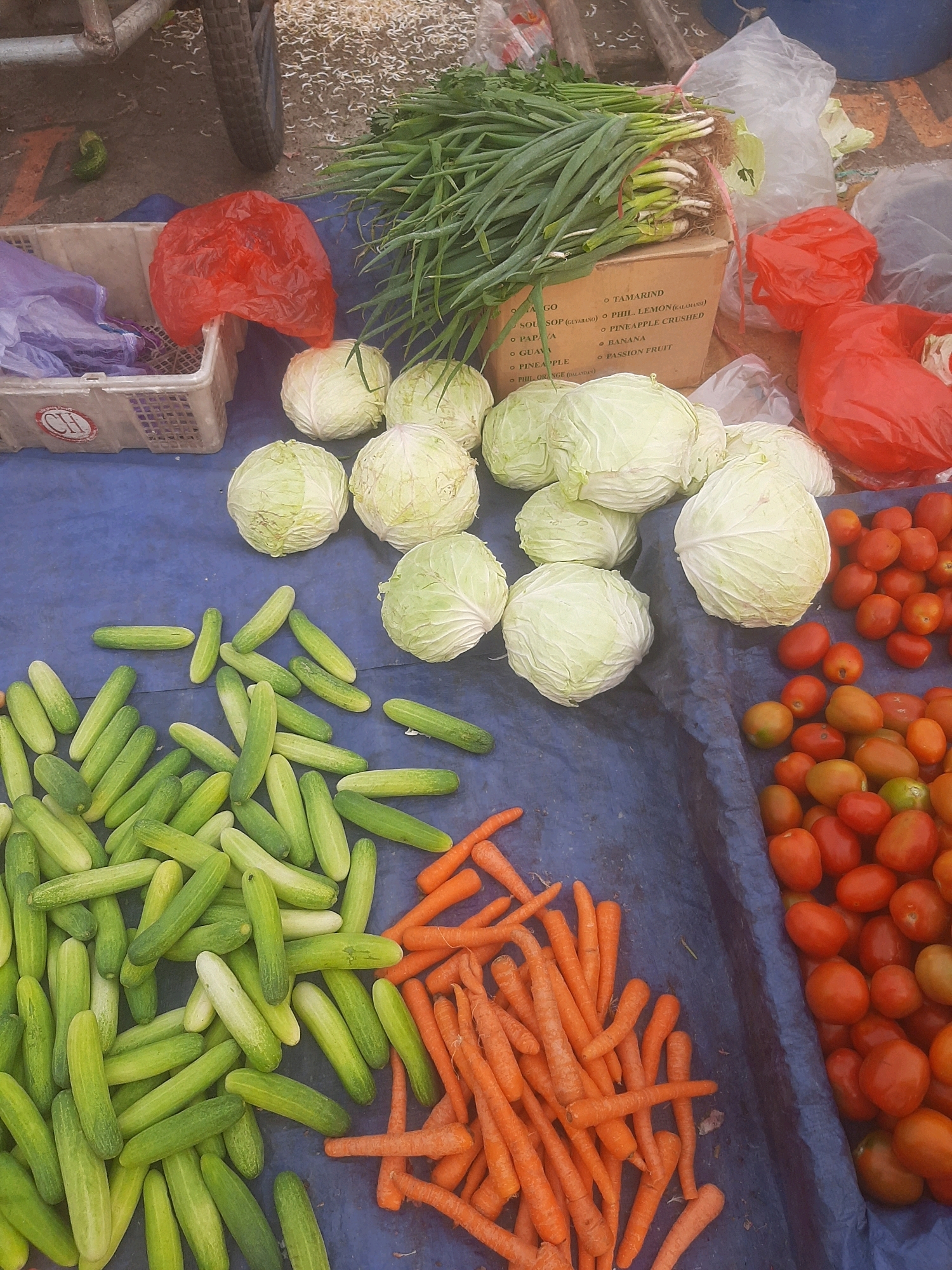 A bird's-eye view captures a market stall in Bekasi, Indonesia, displaying a vibrant assortment of fresh produce. The foreground is dominated by a bed of cucumbers, meticulously arranged alongside a pile of bright orange carrots. To the right, a generous heap of ripe red tomatoes adds a splash of color, with some showing hints of green. Scattered amongst the vegetables are several round heads of cabbage. In the upper portion of the image, a bunch of fresh green onions is bundled together, resting on a cardboard box. A large red plastic bag, along with other plastic bags, sits near the green onions, suggesting ongoing transactions or preparations. A glimpse of a cart wheel in the upper left corner hints at the bustling nature of the market. The overall impression is one of abundance and freshness, typical of a local Indonesian market.